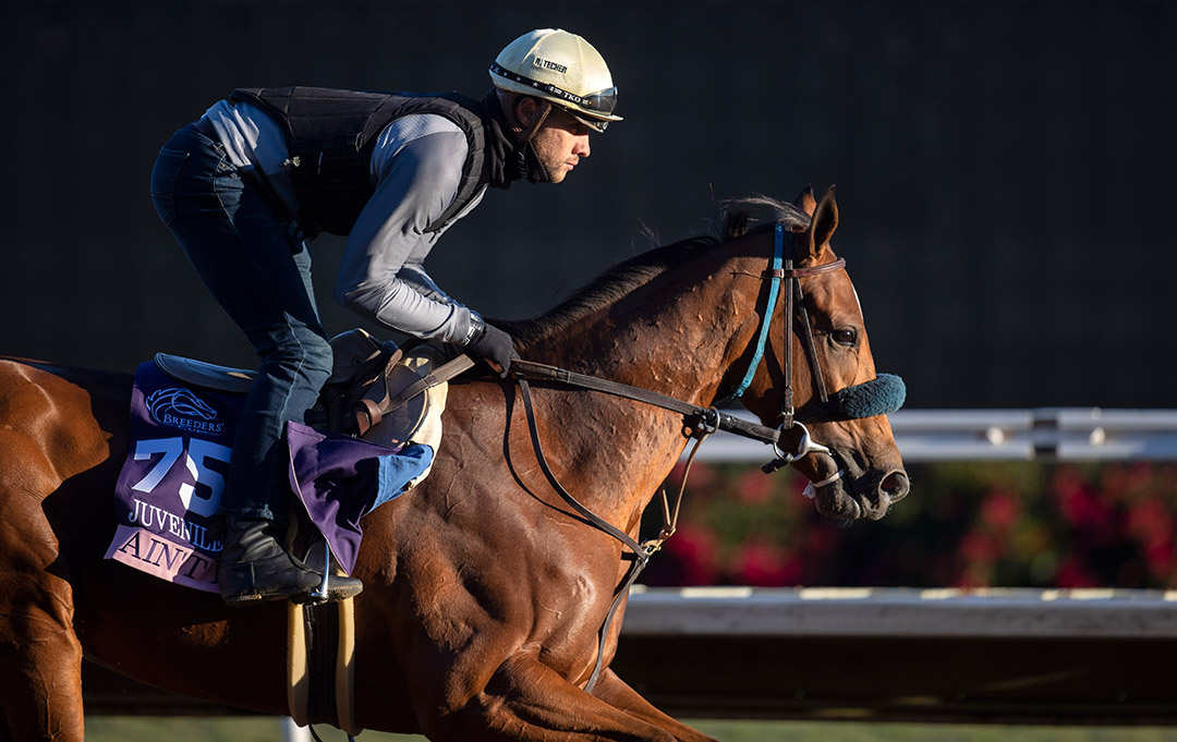 Ain't Easy trains at Del Mar on Oct. 28