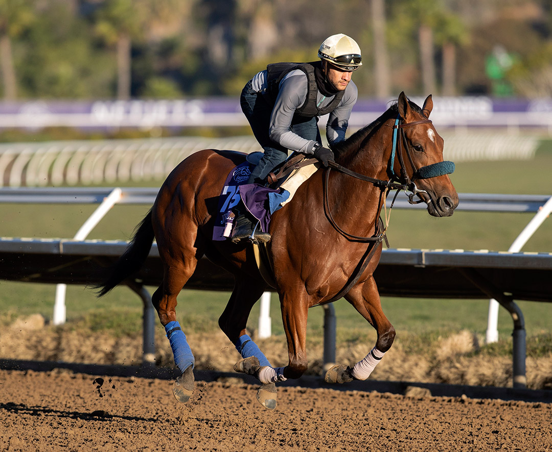 Ain't Easy trains at Del Mar on Oct. 28