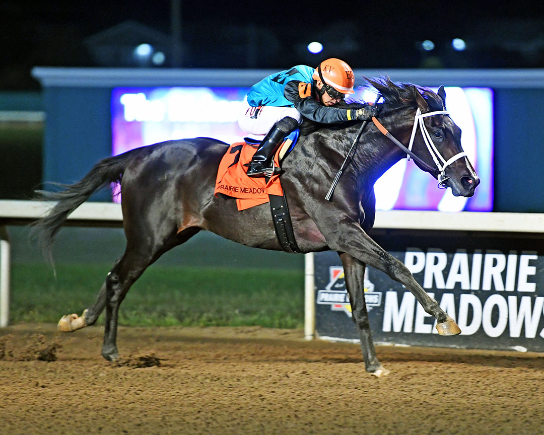 Ain't Life Grand wins the 2021 Richard Radke Memorial Stakes at Prairie Meadows