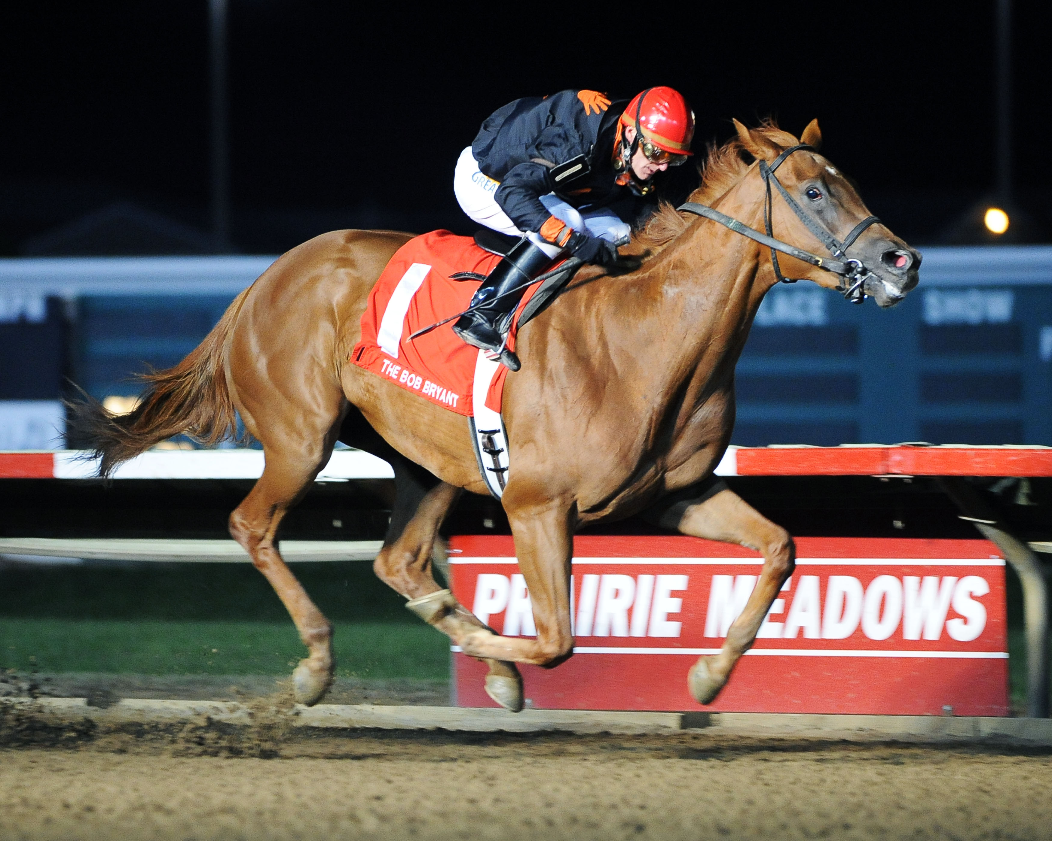 Aintgotno Home wins 2014 Bob Bryant