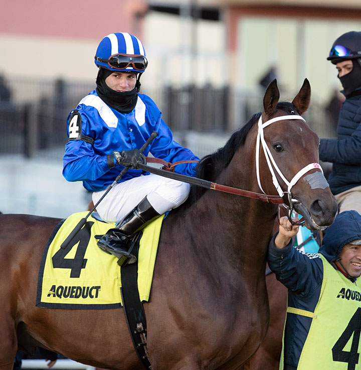 Ajaaweed at the Remsen Stakes at Aqueduct Racetrack