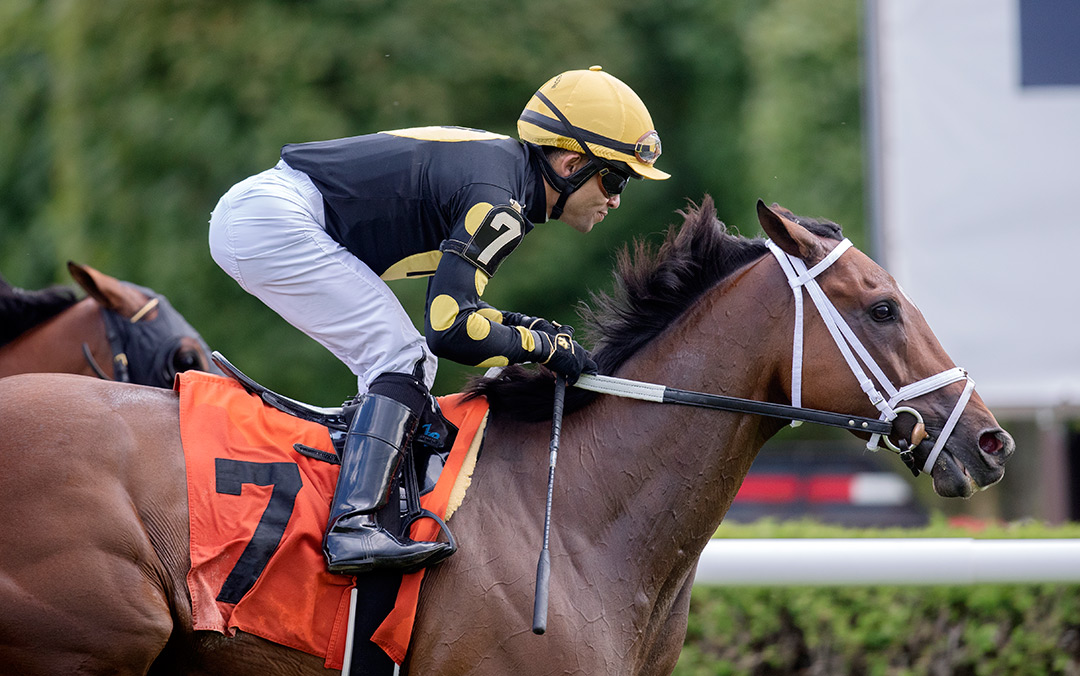Ajourneytofreedom wins a July 23 allowance at Saratoga Race Course