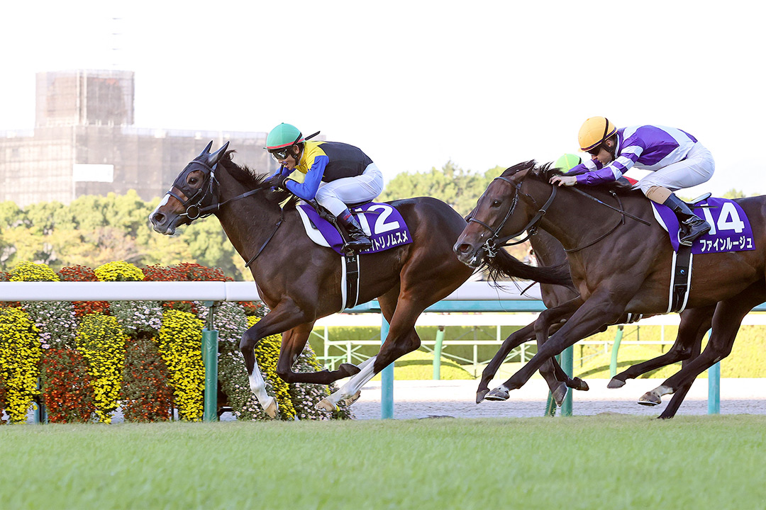 Akaitorino Musume wins the 2021 Shuka Sho at Hanshin Racecourse