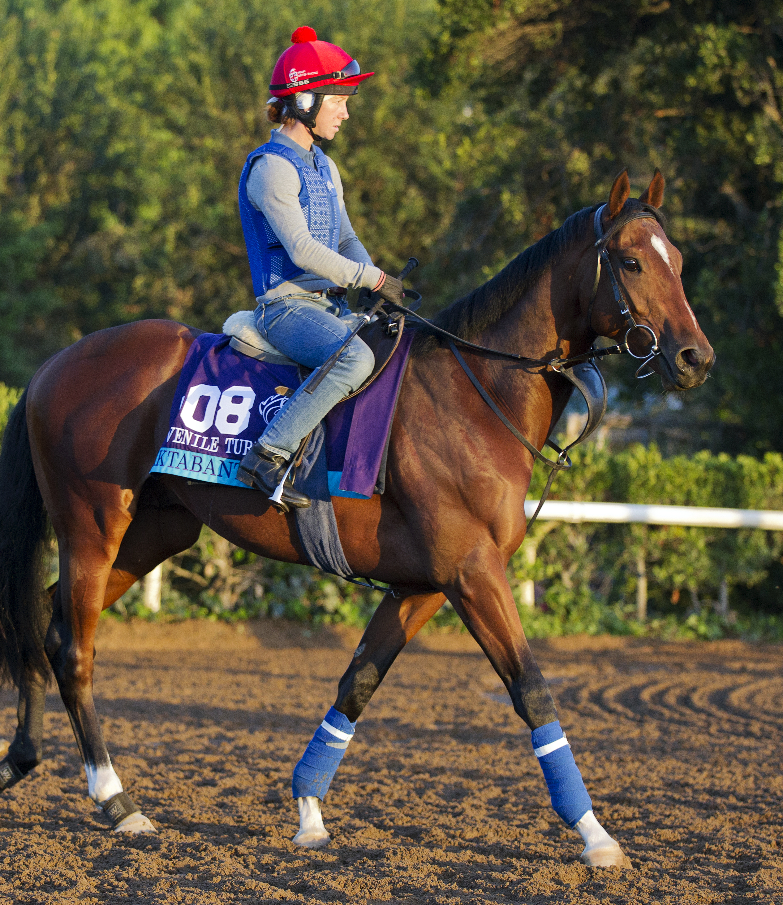Aktabantay at Santa Anita on Oct. 28