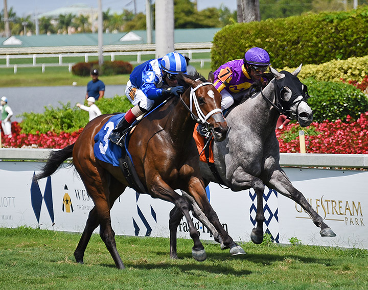 Alasaayil wins a March 30 maiden race at Gulfstream Park
