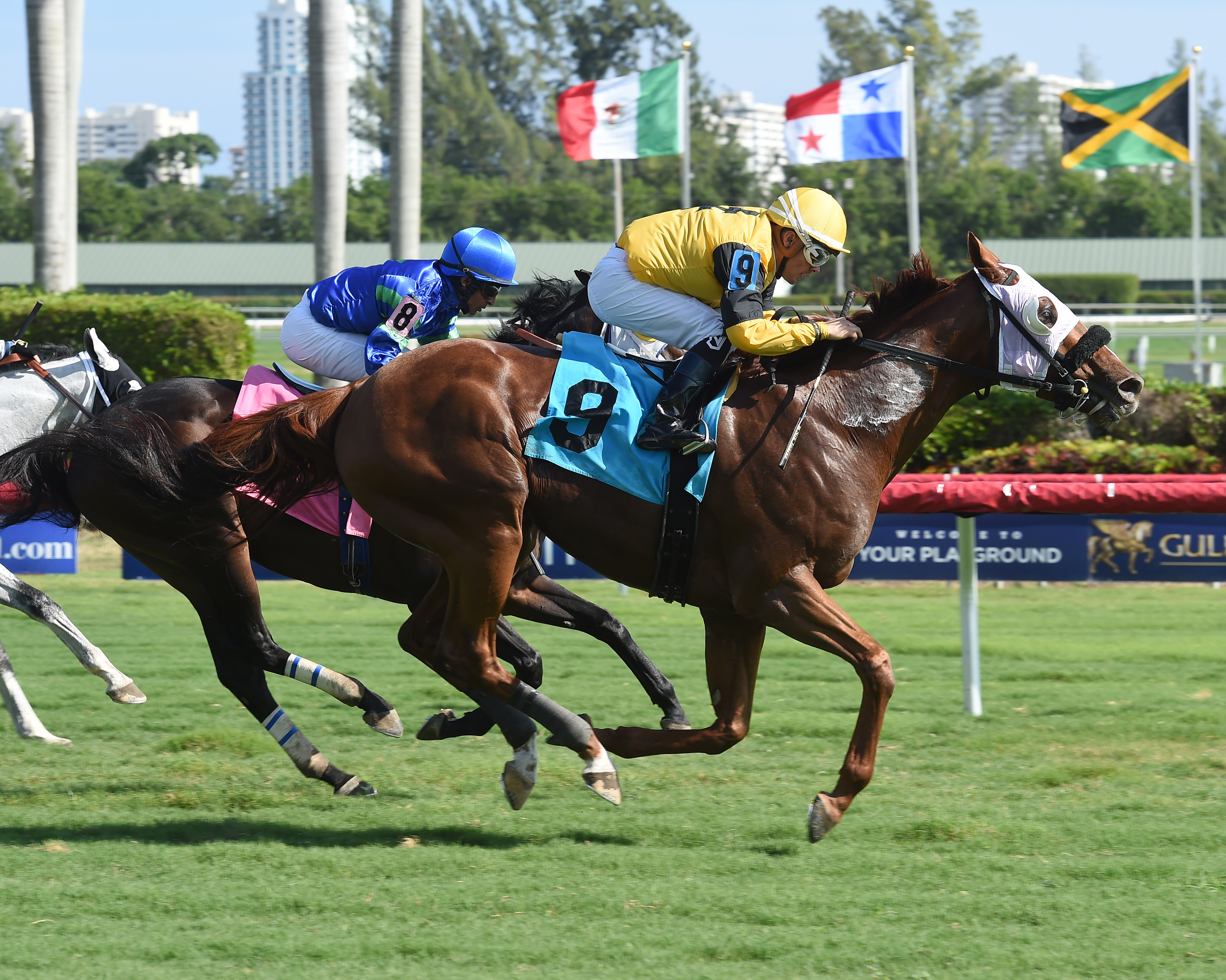 Alaskan Prince wins a Dec. 8 maiden race