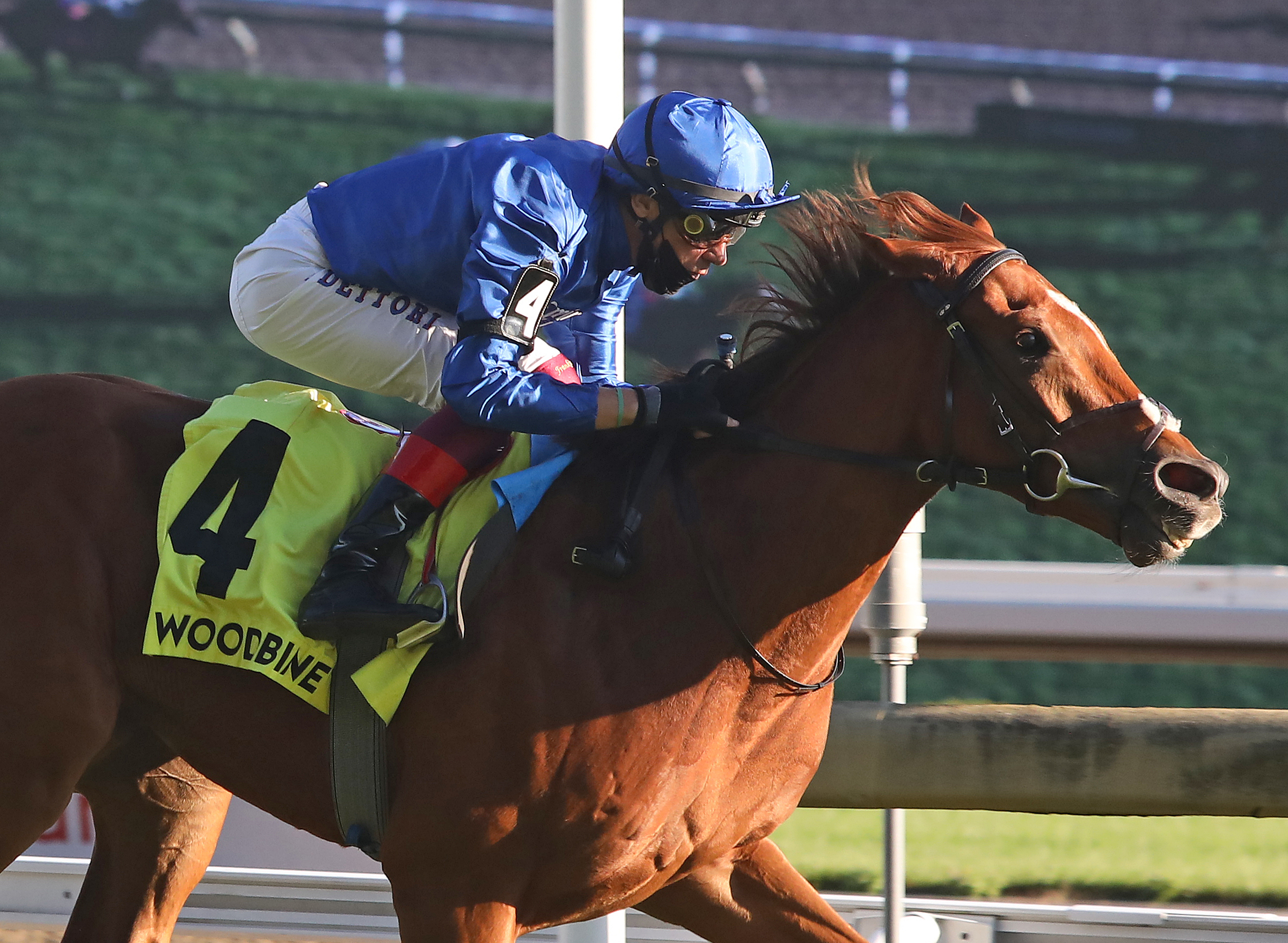 Albahr wins Summer Stakes 9-19-2021