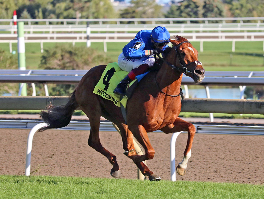 Albahr wins the 2021 Summer Stakes at Woodbine
