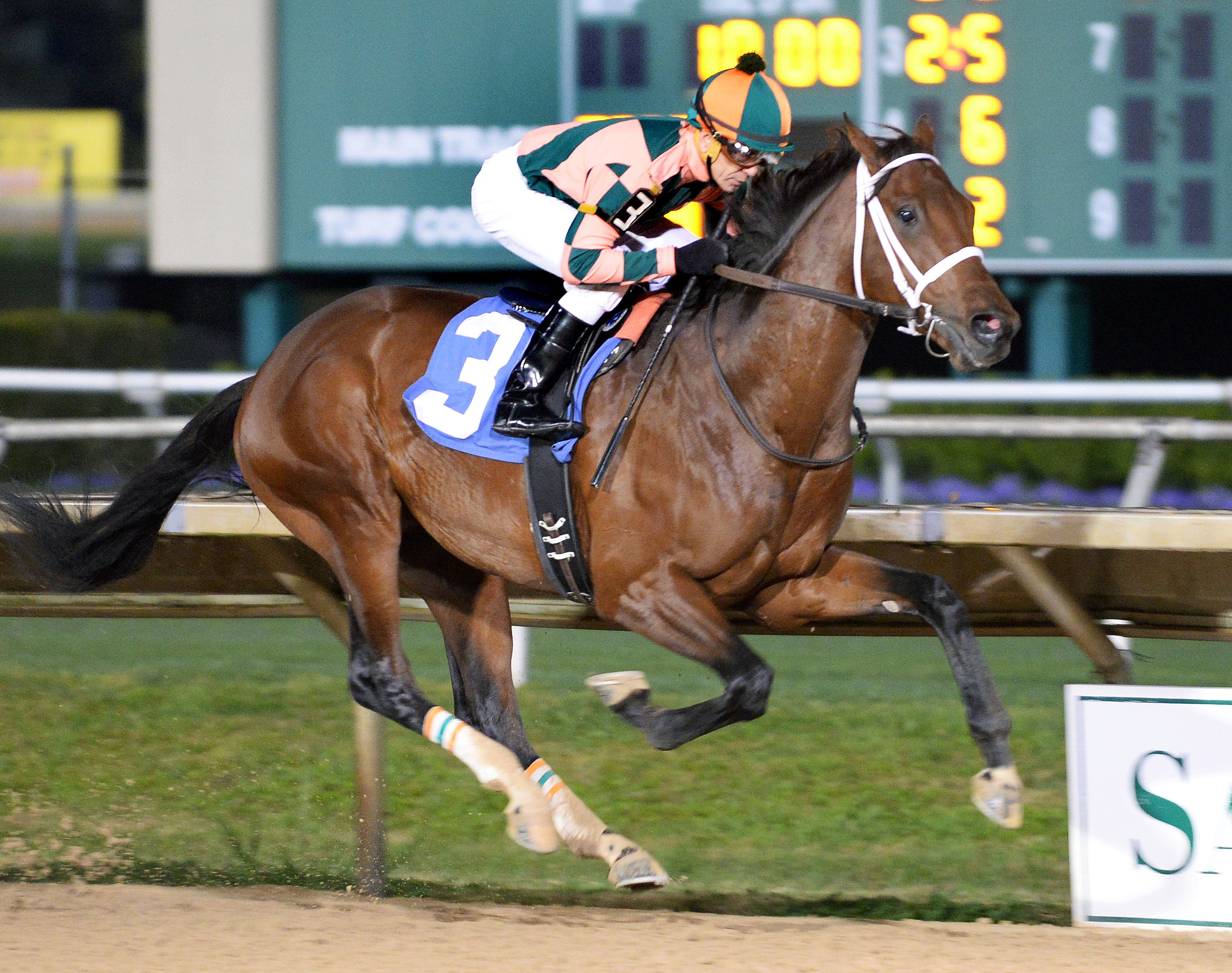 Albano wins the Maxxam Gold Cup