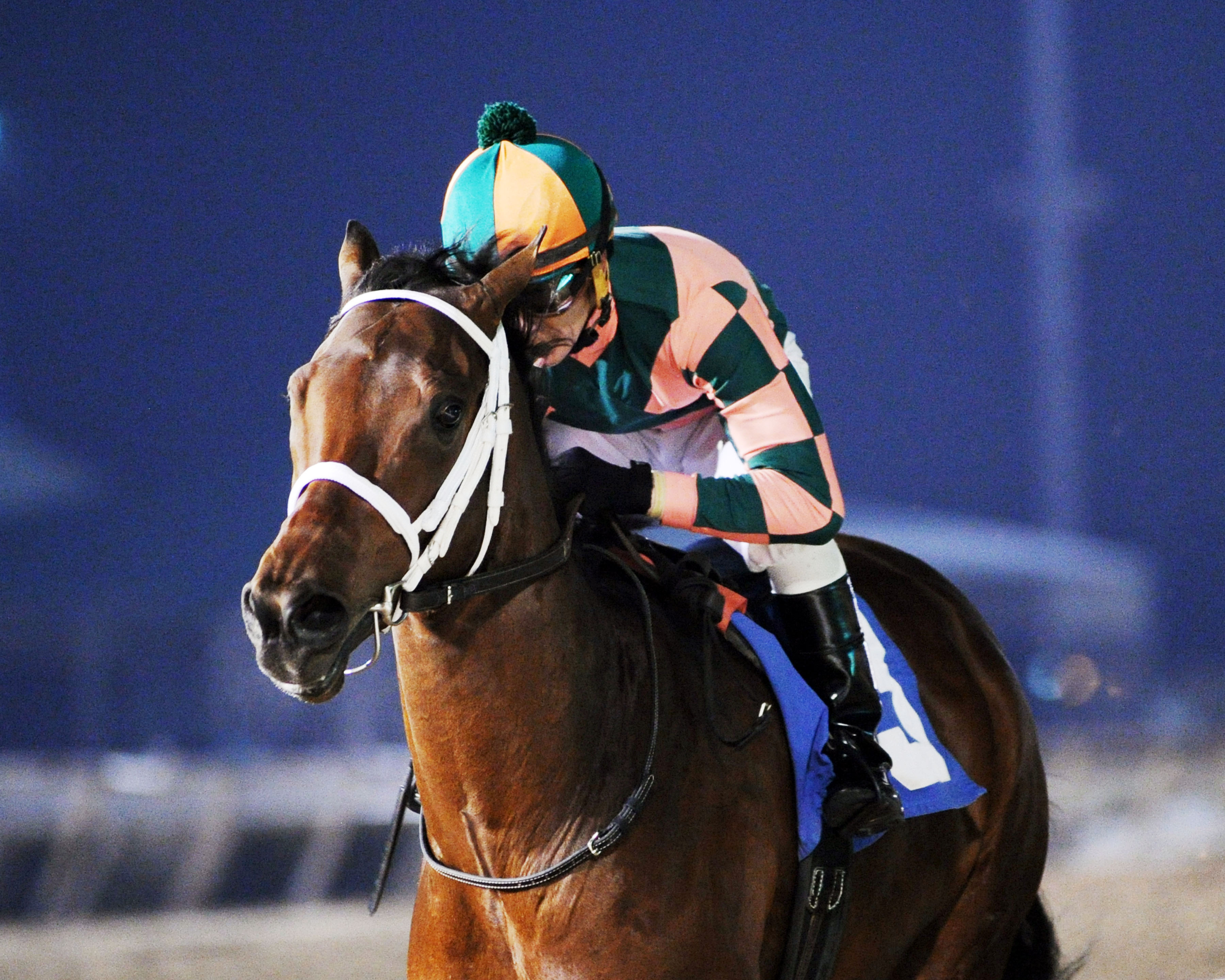 Albano wins the MAXXAM Gold Cup