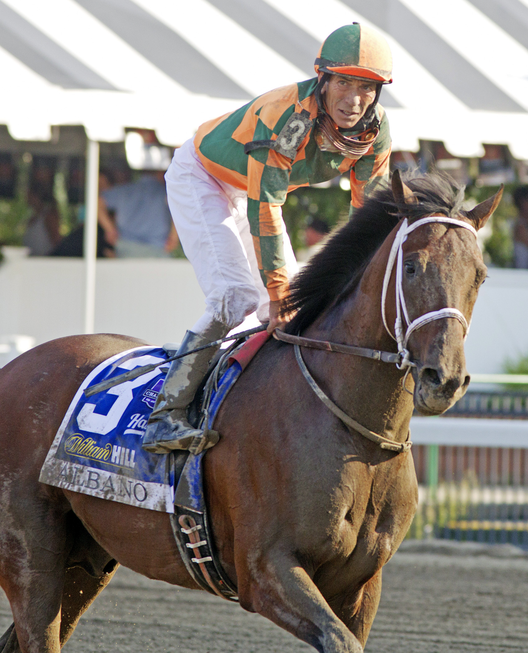 Albano after finishing second in the Haskell