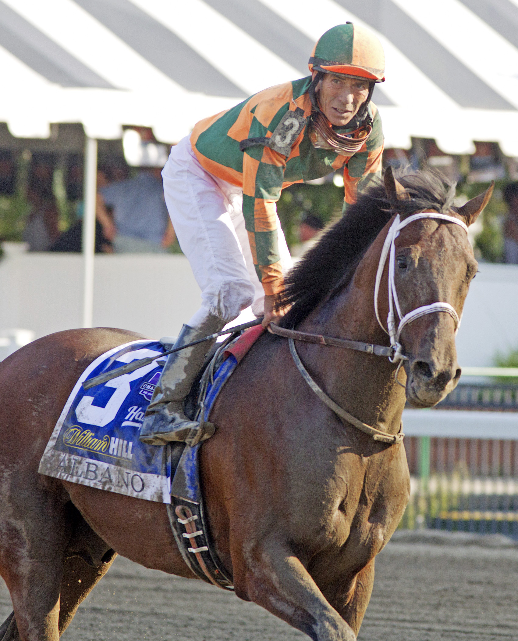 Albano finishes second in the Haskell
