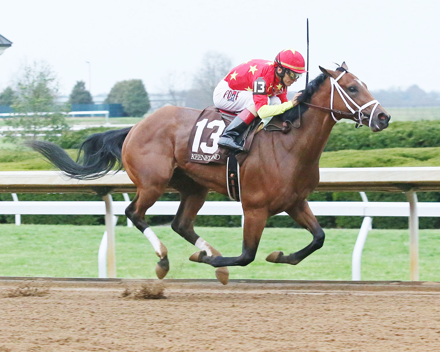 Alberobello wins an April 14 maiden race