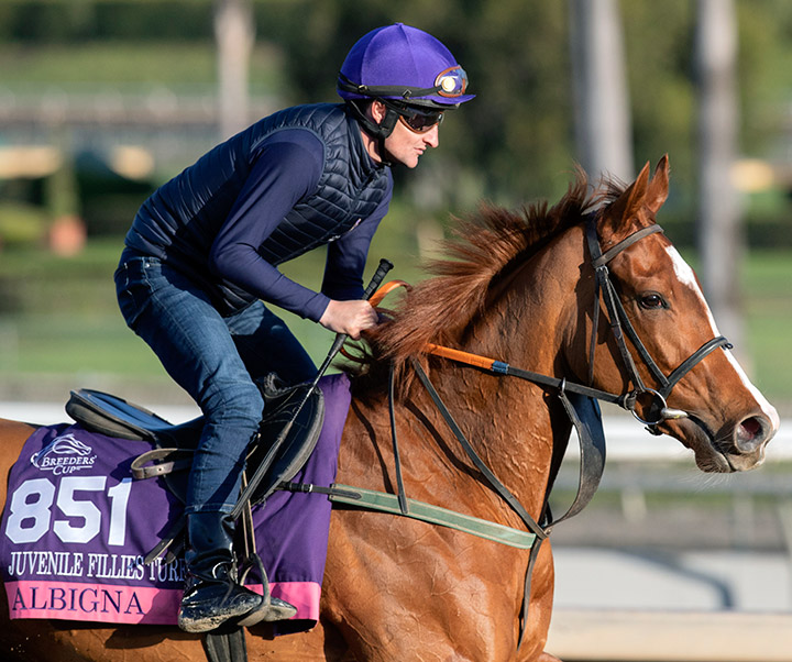 Albigna trains at Santa Anita in October 2019