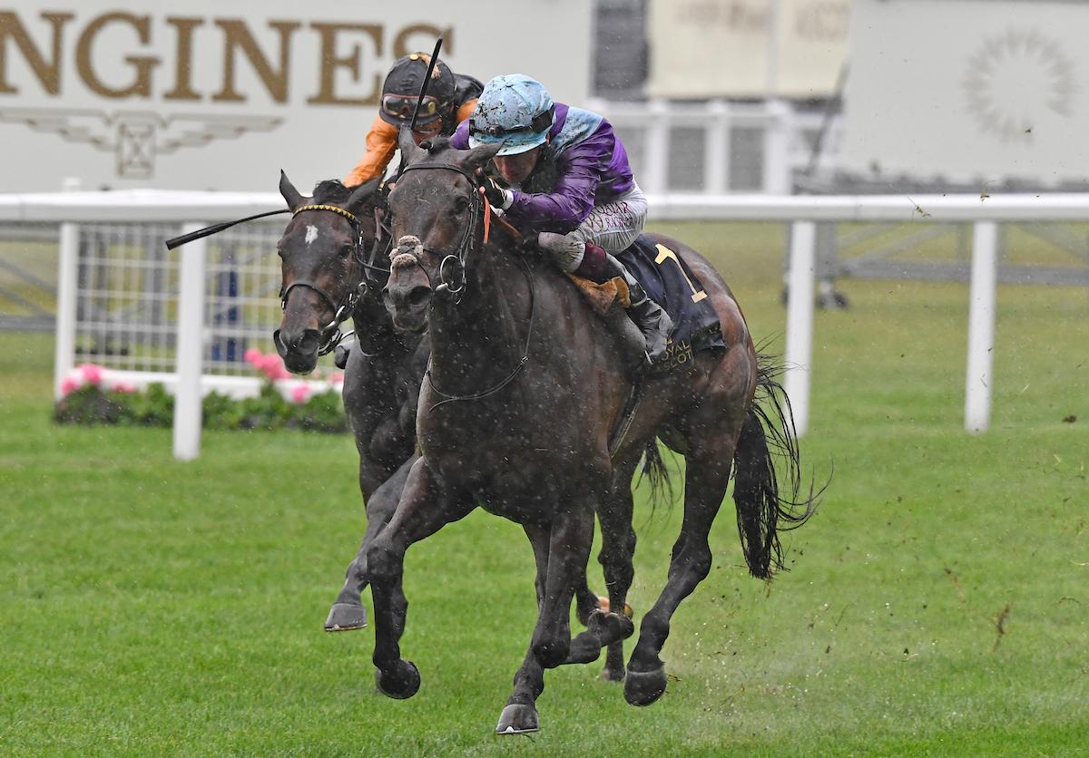 Alcohol Free wins the Coronation Stakes - credit Megan Ridgwell