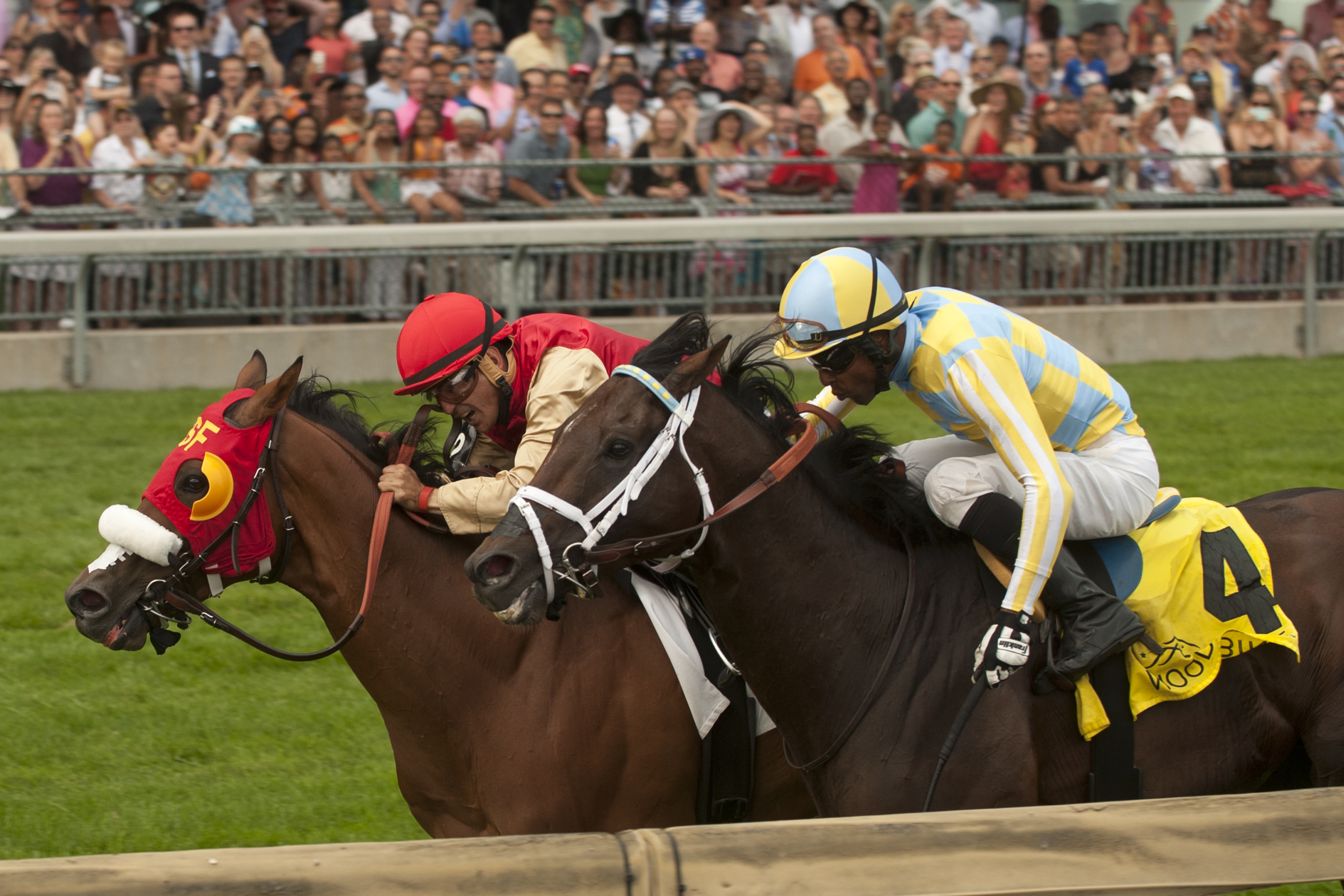 Aldous Snow wins 2015 Singspiel