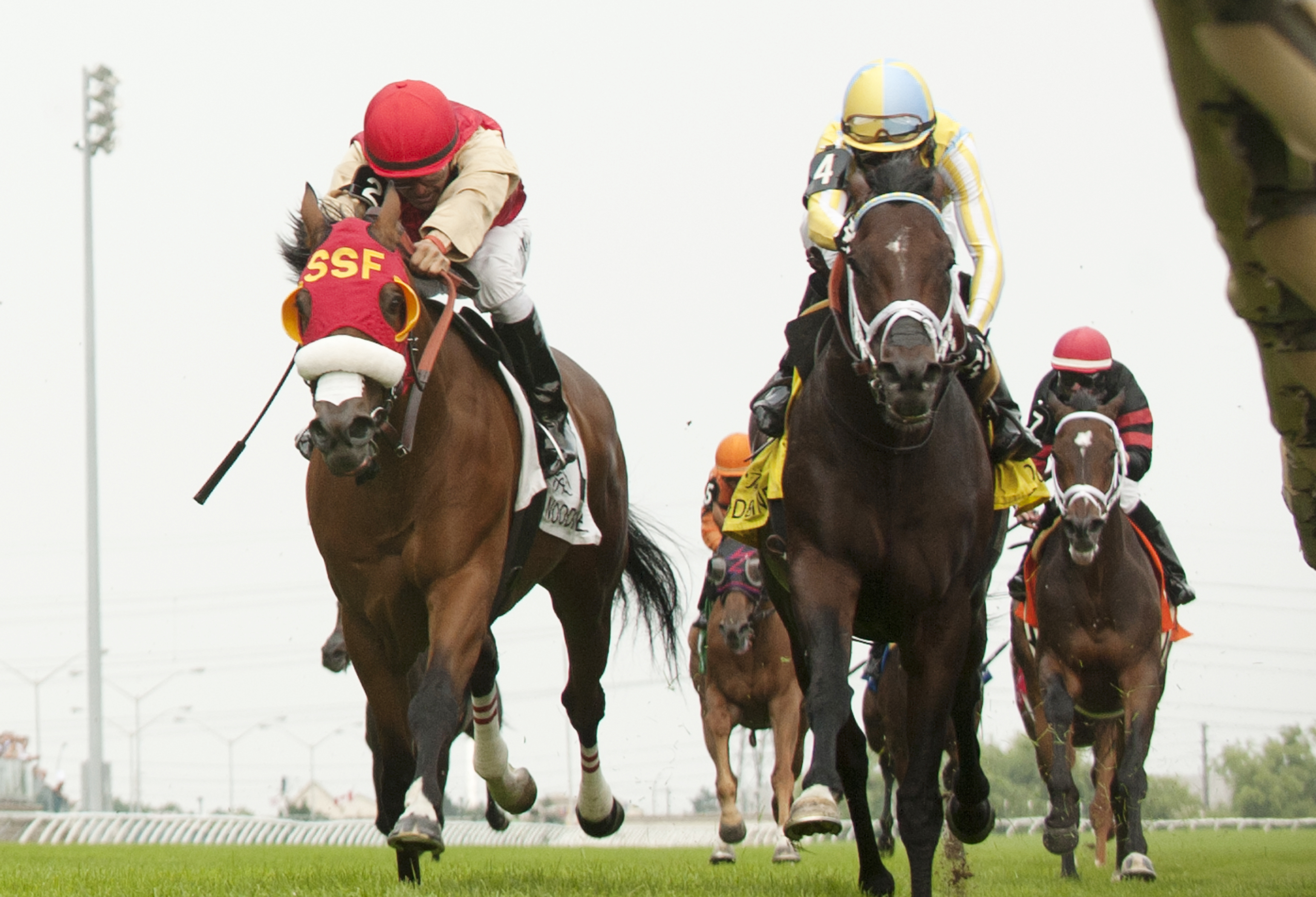 Aldous Snow wins the Singspiel