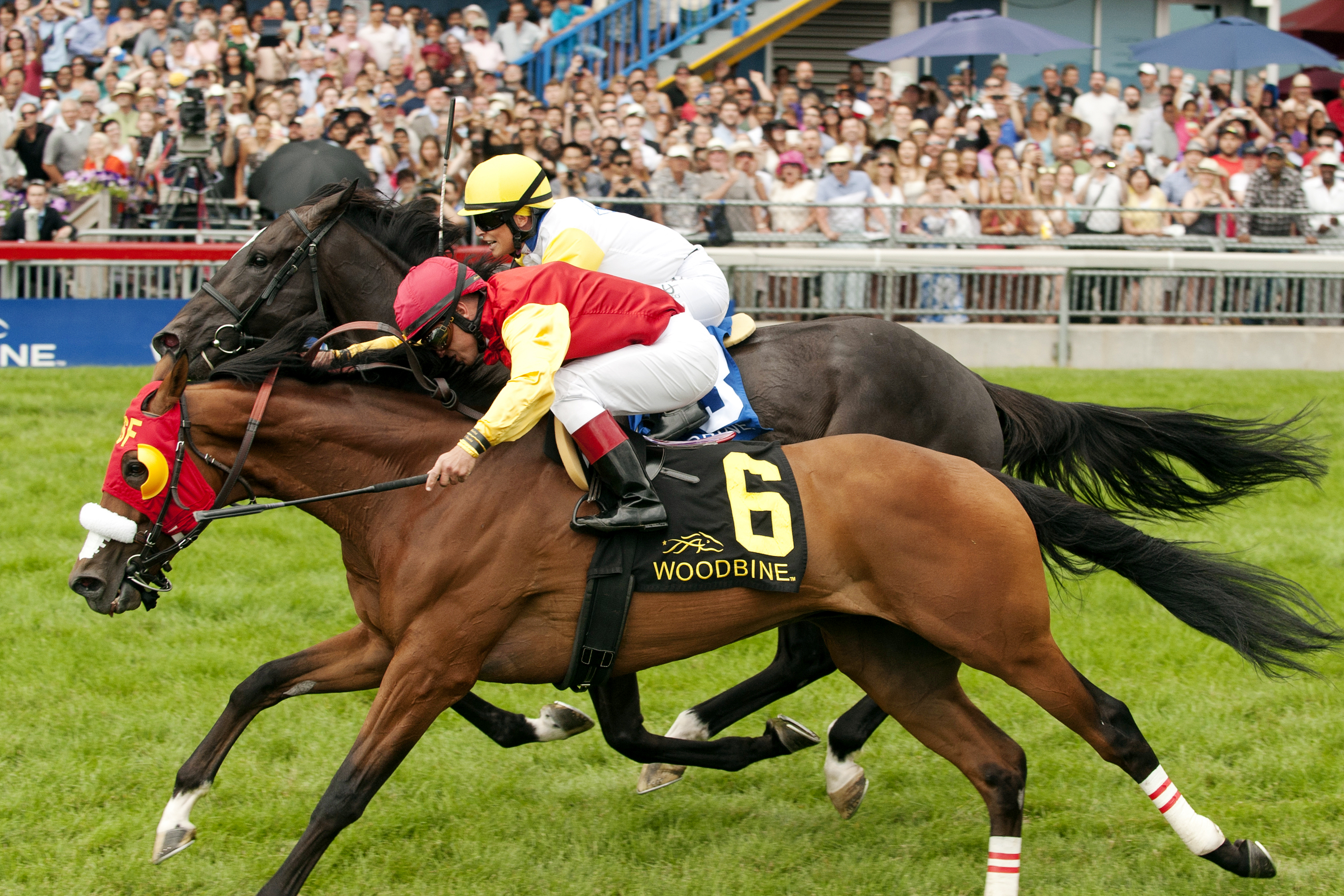 Aldous Snow wins the Singspiel