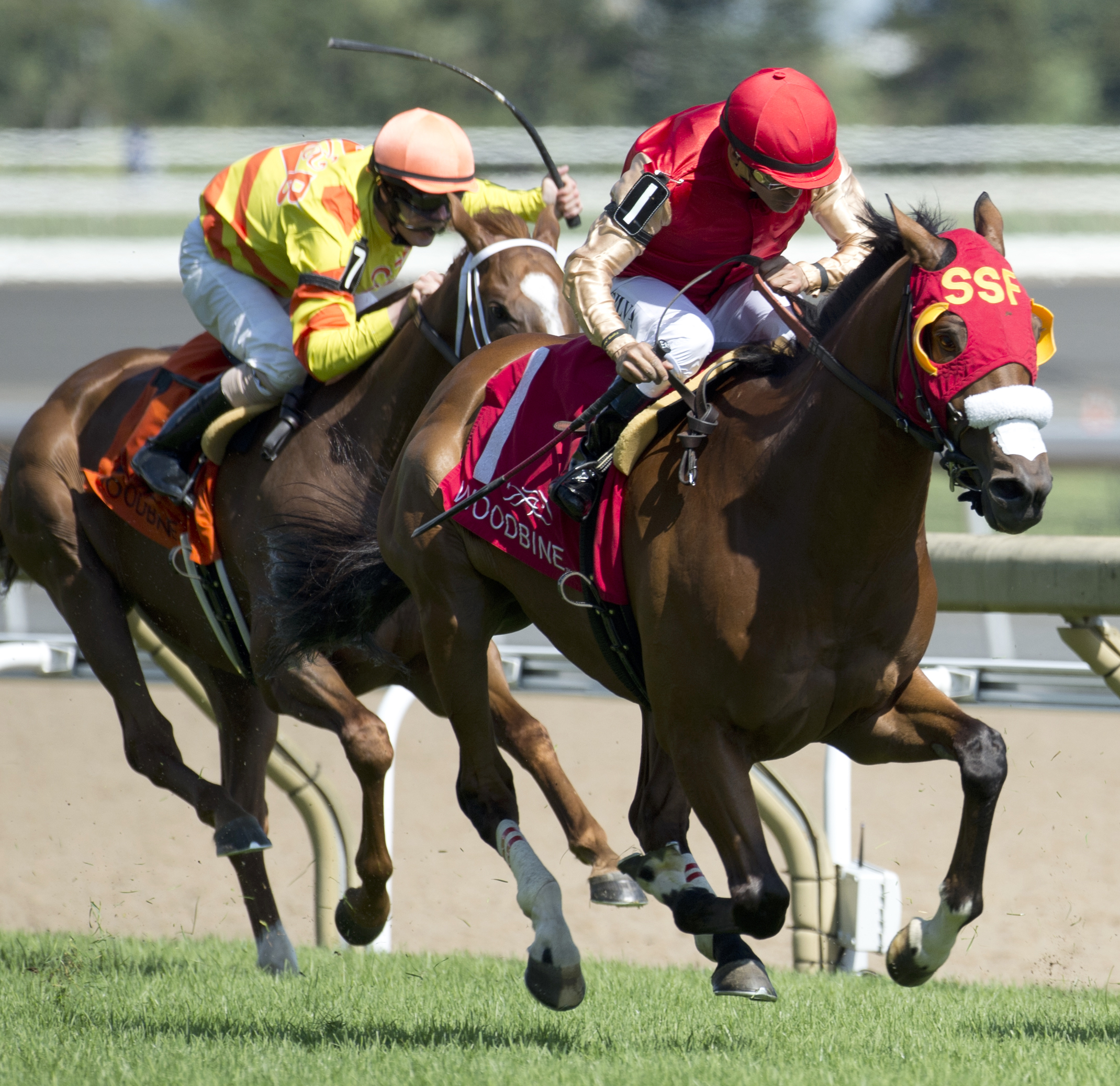 Aldous Snow wins the Singspiel Stakes