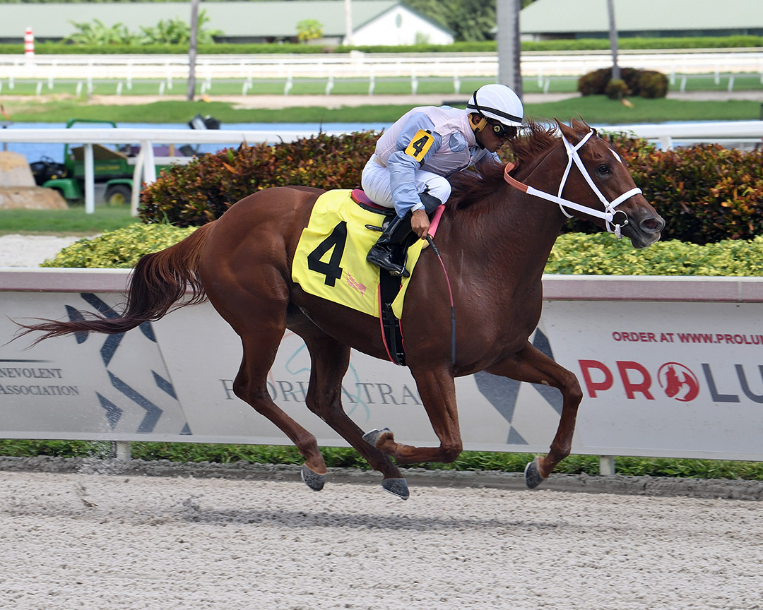 Alecka Star wins a Sept. 23 maiden race at Gulfstream Park