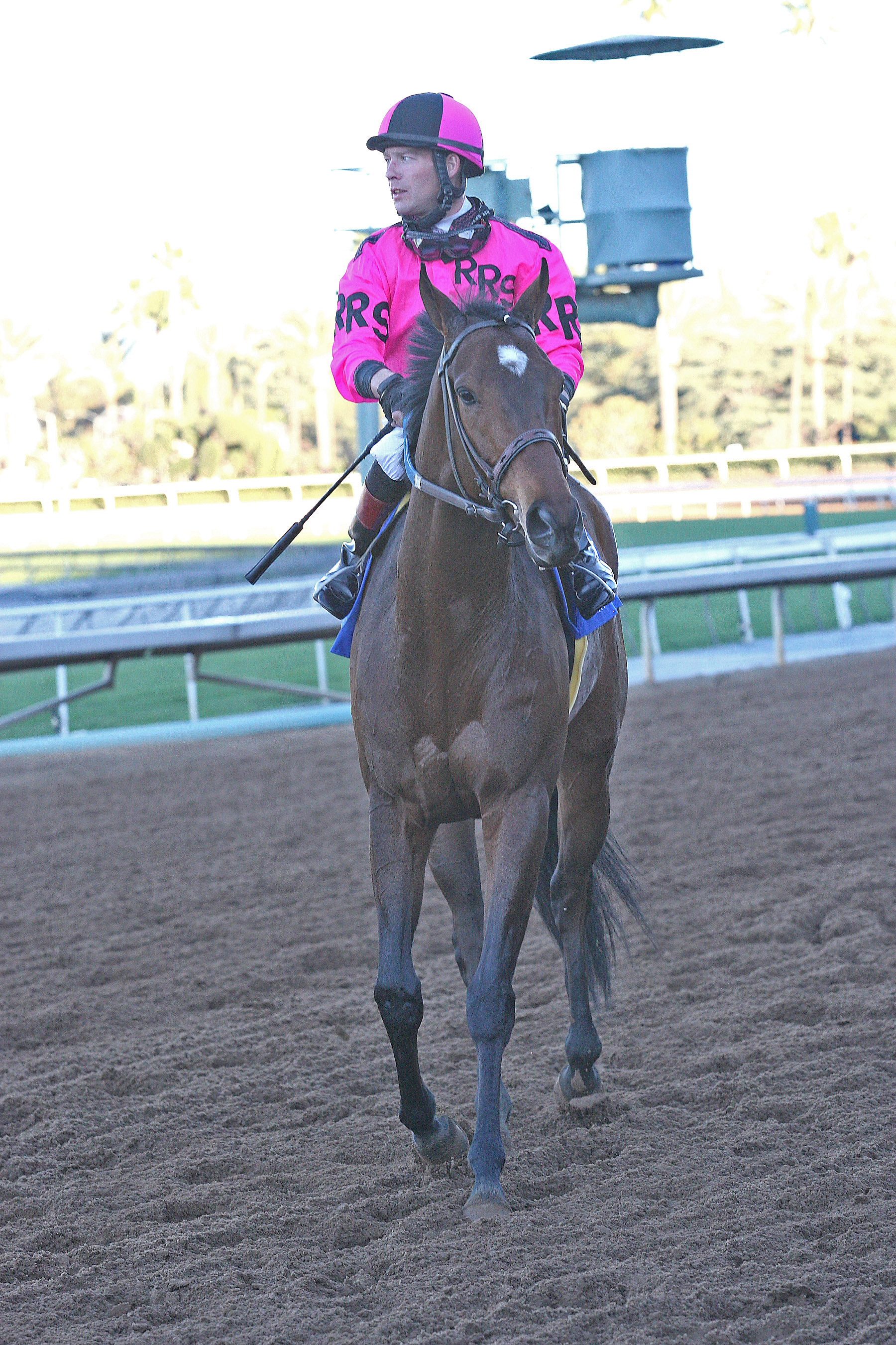 Alert Bay 1-24-15