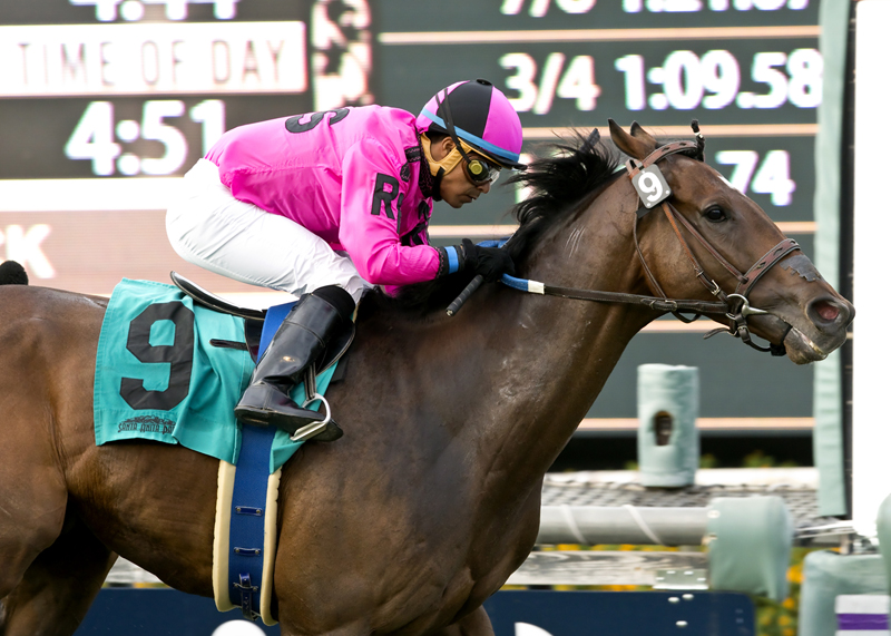 Alert Bay wins the City of Hope Mile