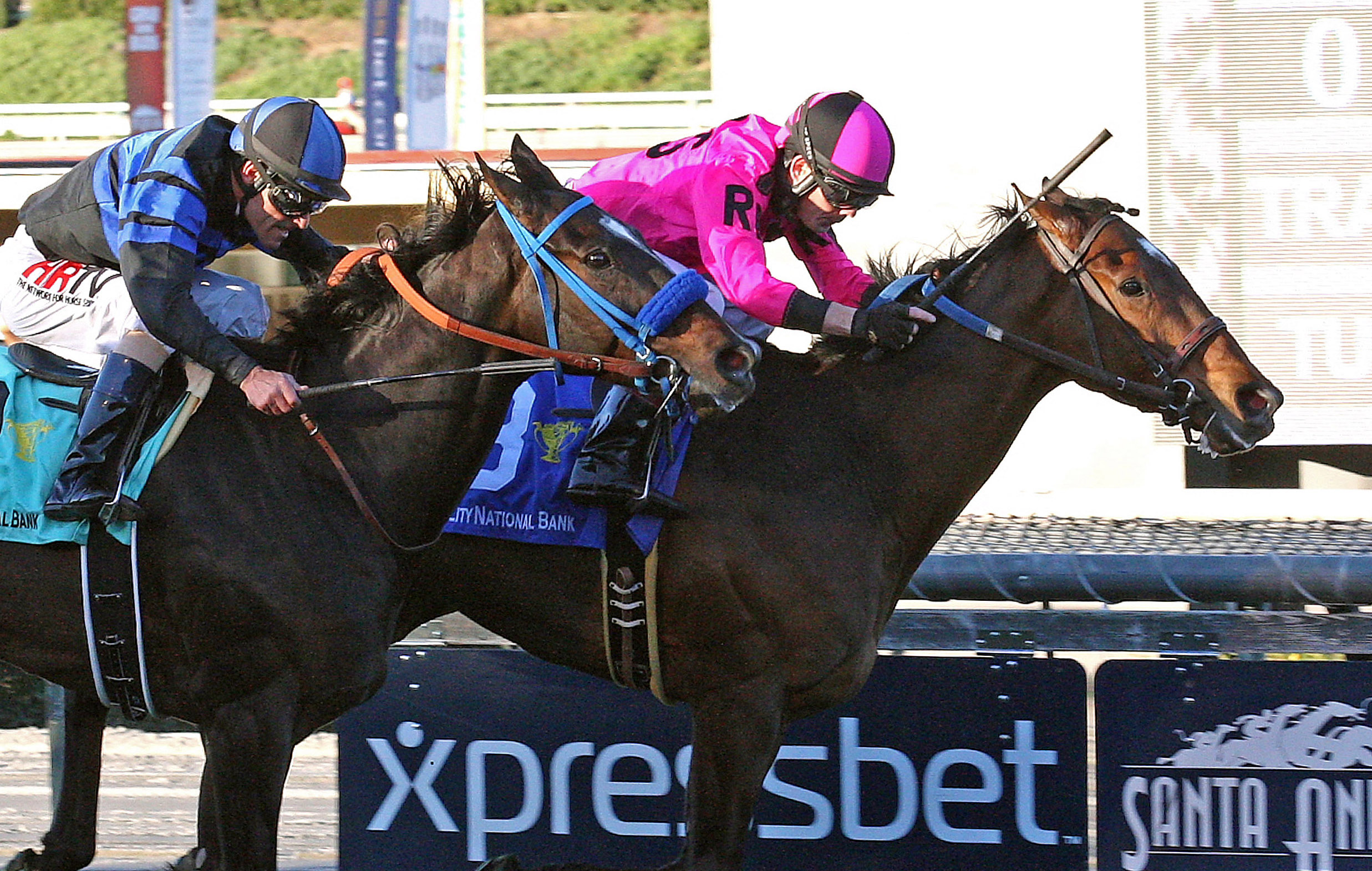 Alert Bay wins the California Cup Turf Classic