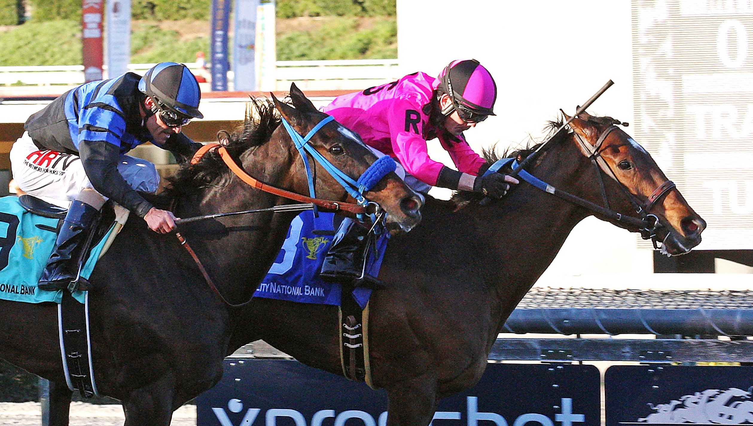 Alert Bay wins the California Cup Turf Classic