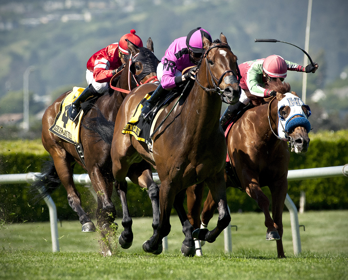 Alert Bay wins the 2017 San Francisco Mile
