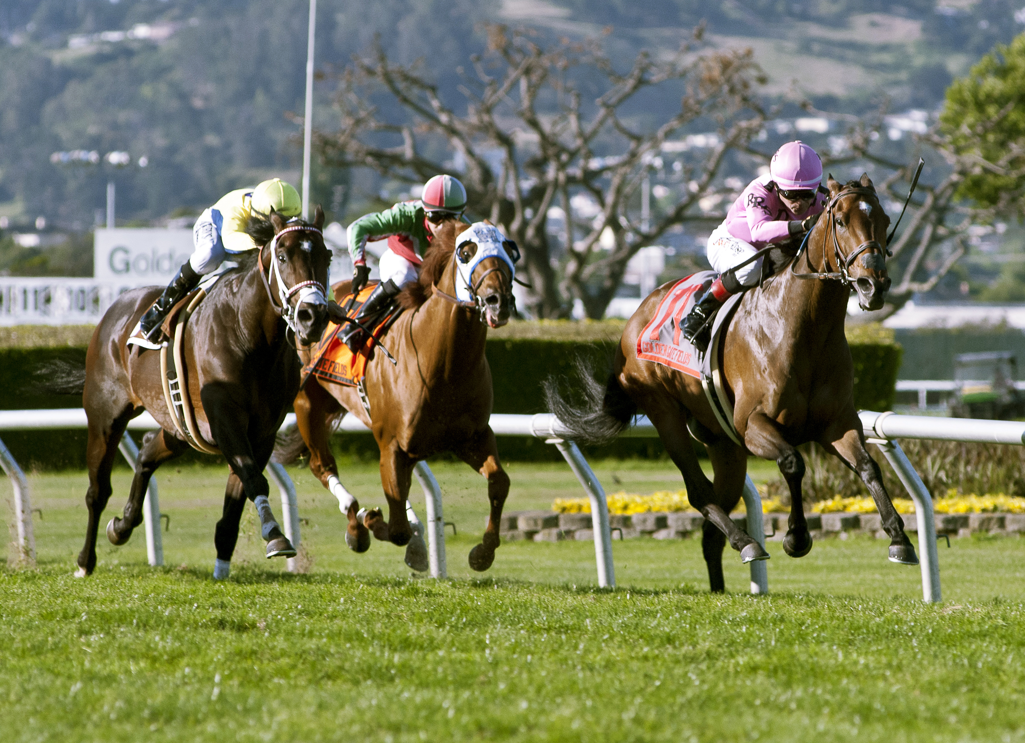 Alert Bay wins the San Francisco Mile