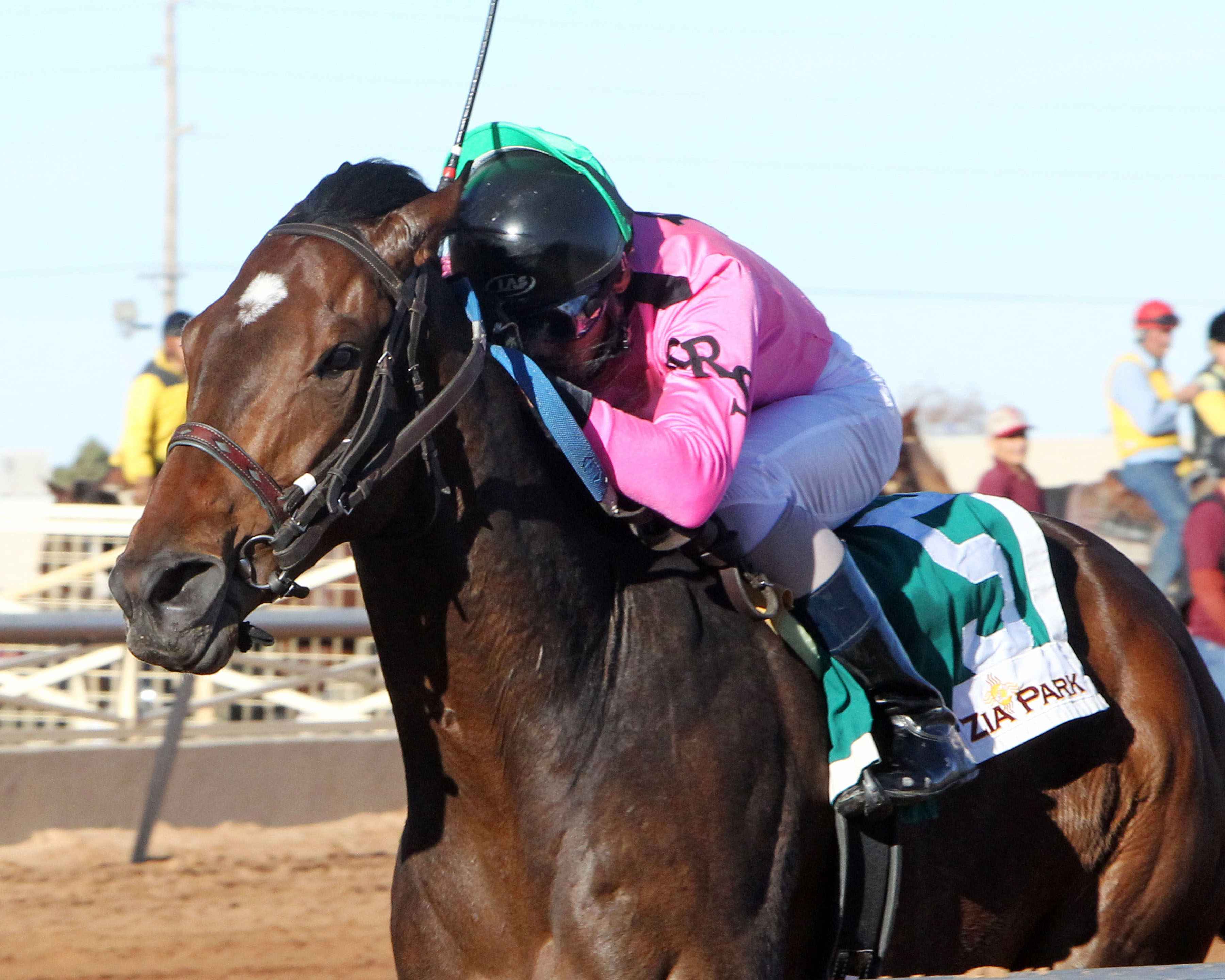 Alert Bay wins the Zia Park Derby