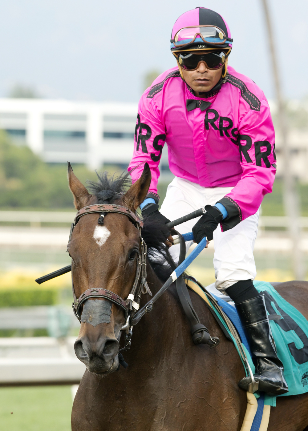 Alert Bay after winning the City of Hope Mile