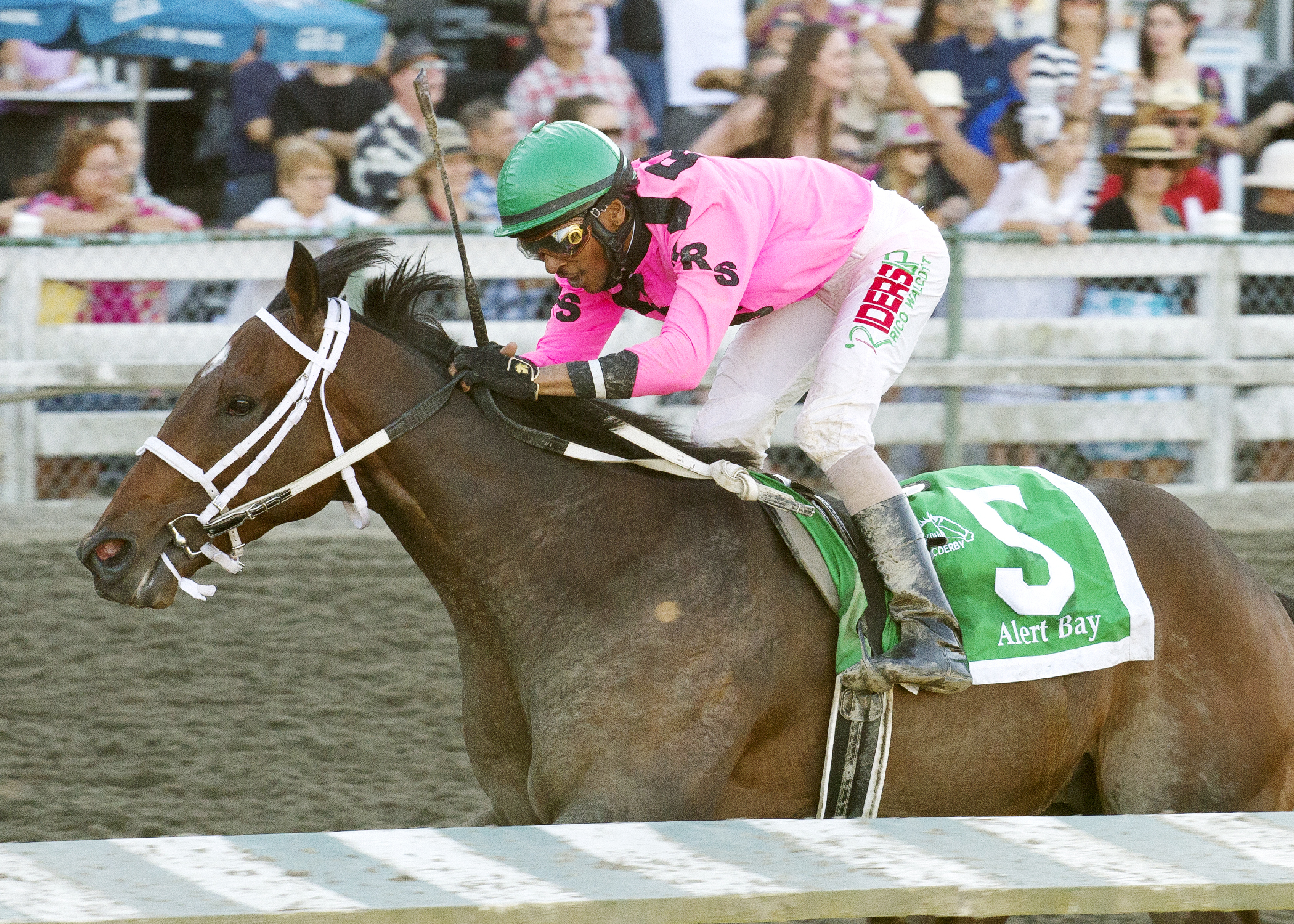 Alert Bay wins the British Columbia Derby