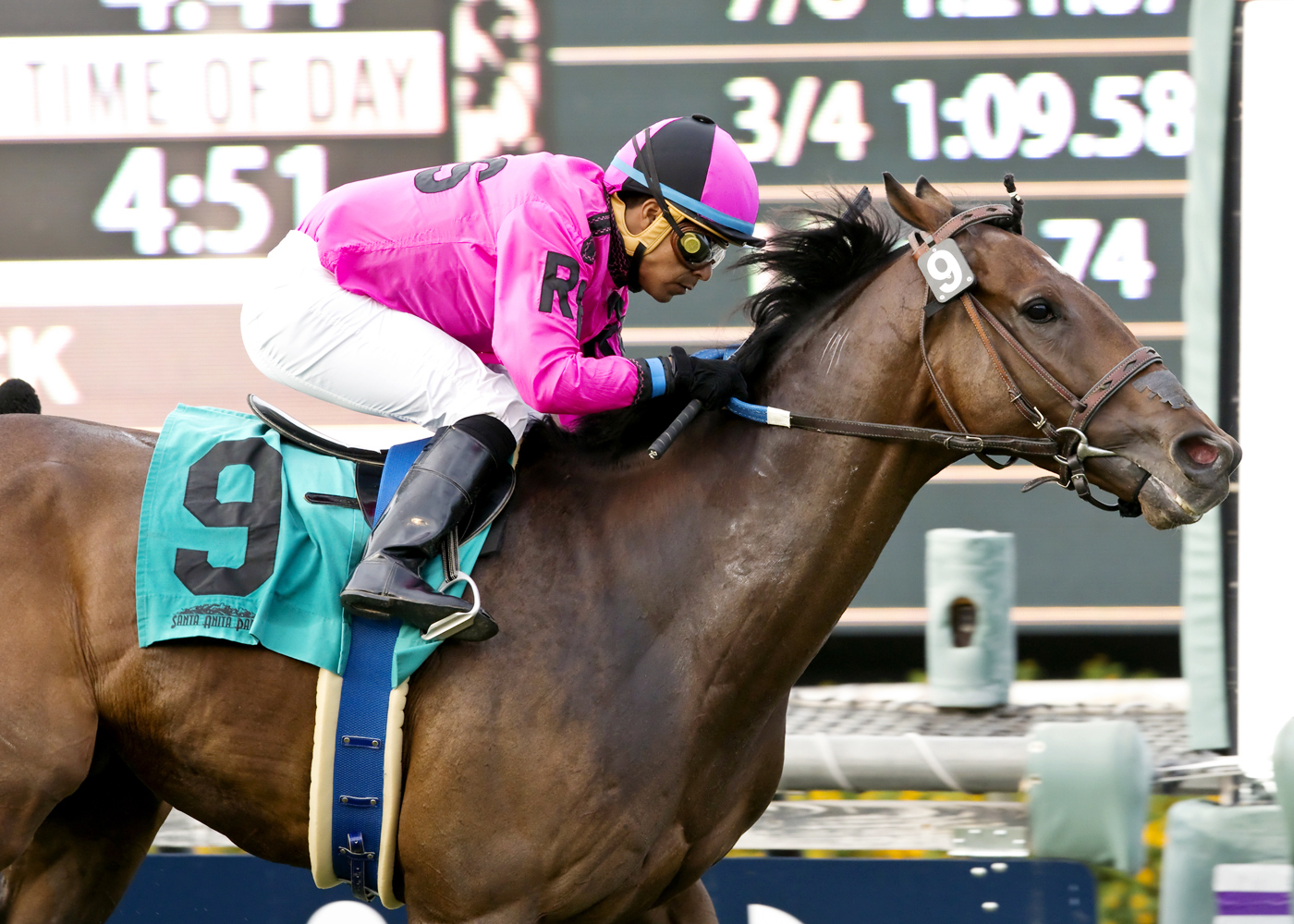Alert Bay wins the City of Hope Mile