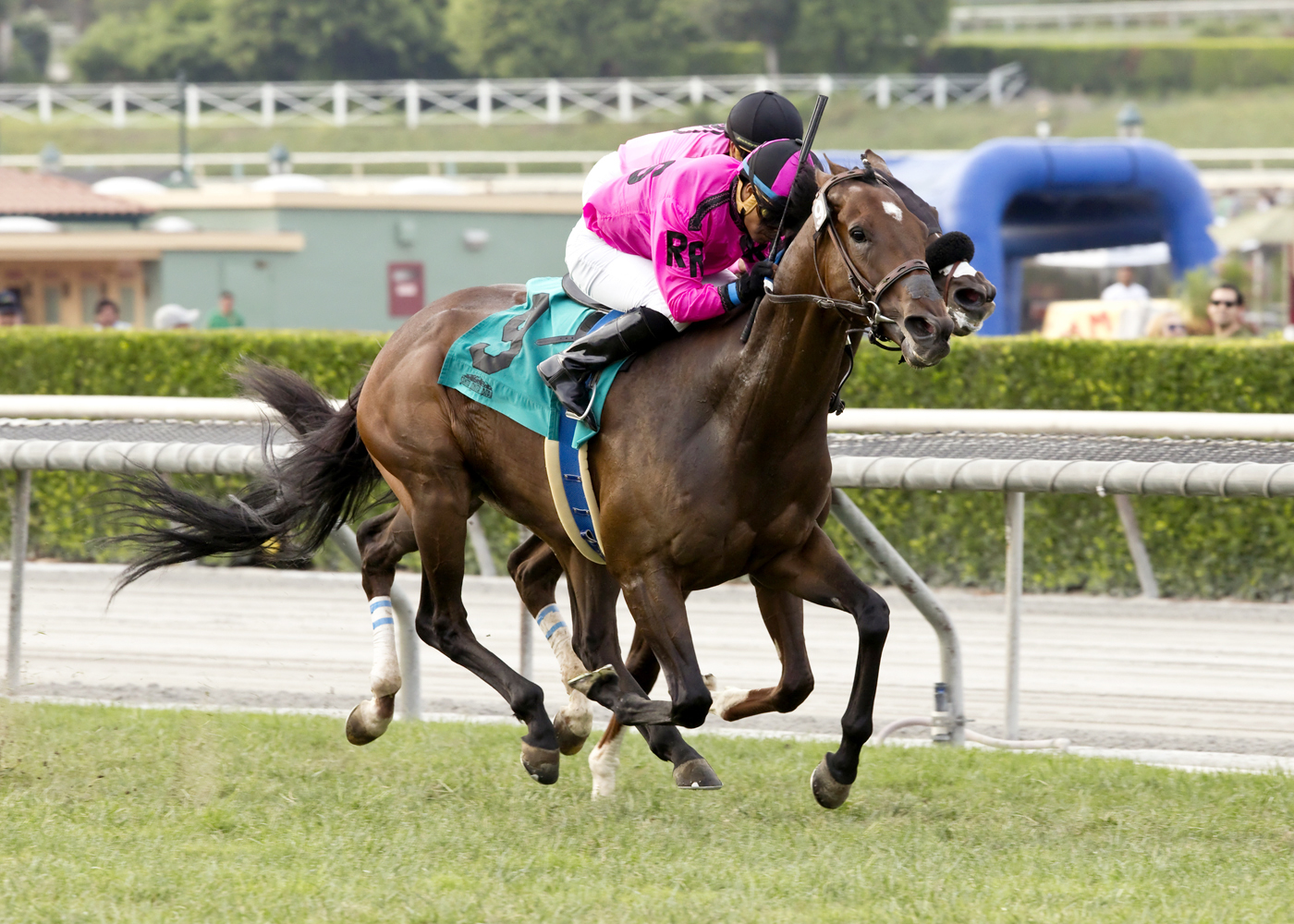 Alert Bay wins the City of Hope Mile