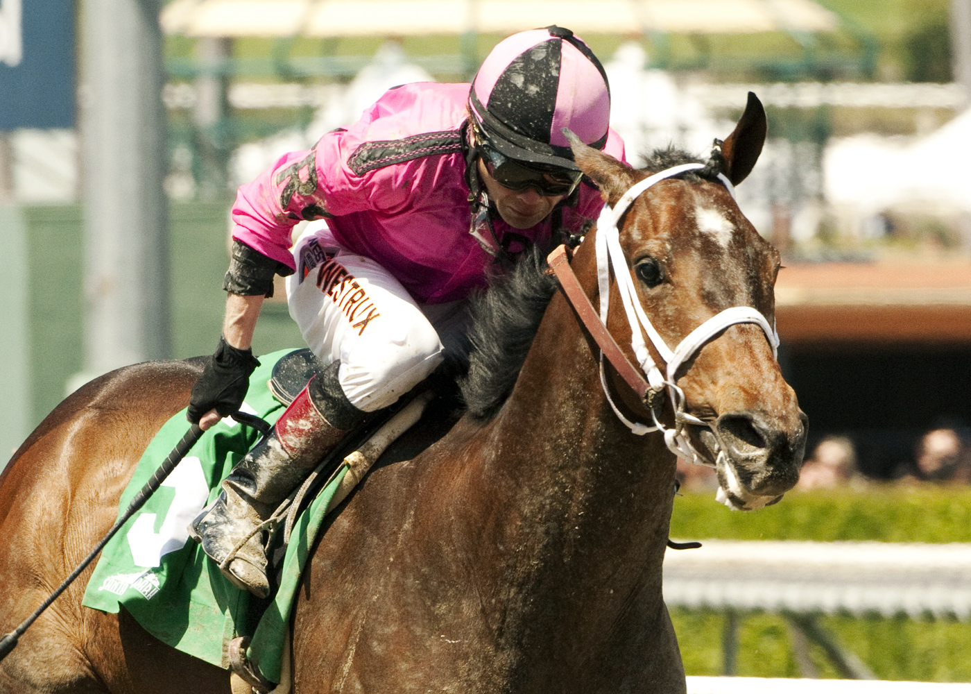 Alert Bay wins the Echo Eddie Stakes