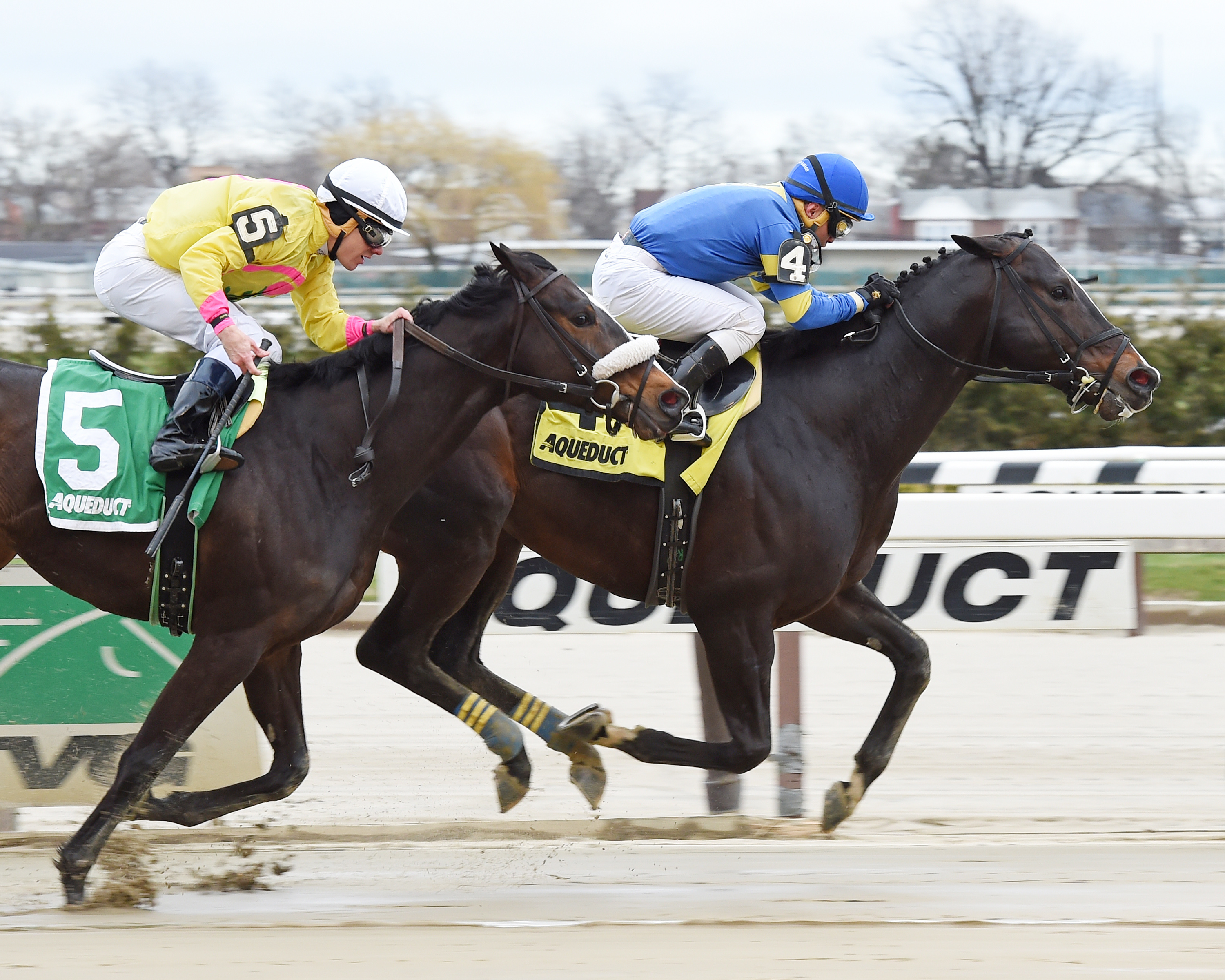 Alex the Terror wins the 2017 Caixa Eletronica Stakes