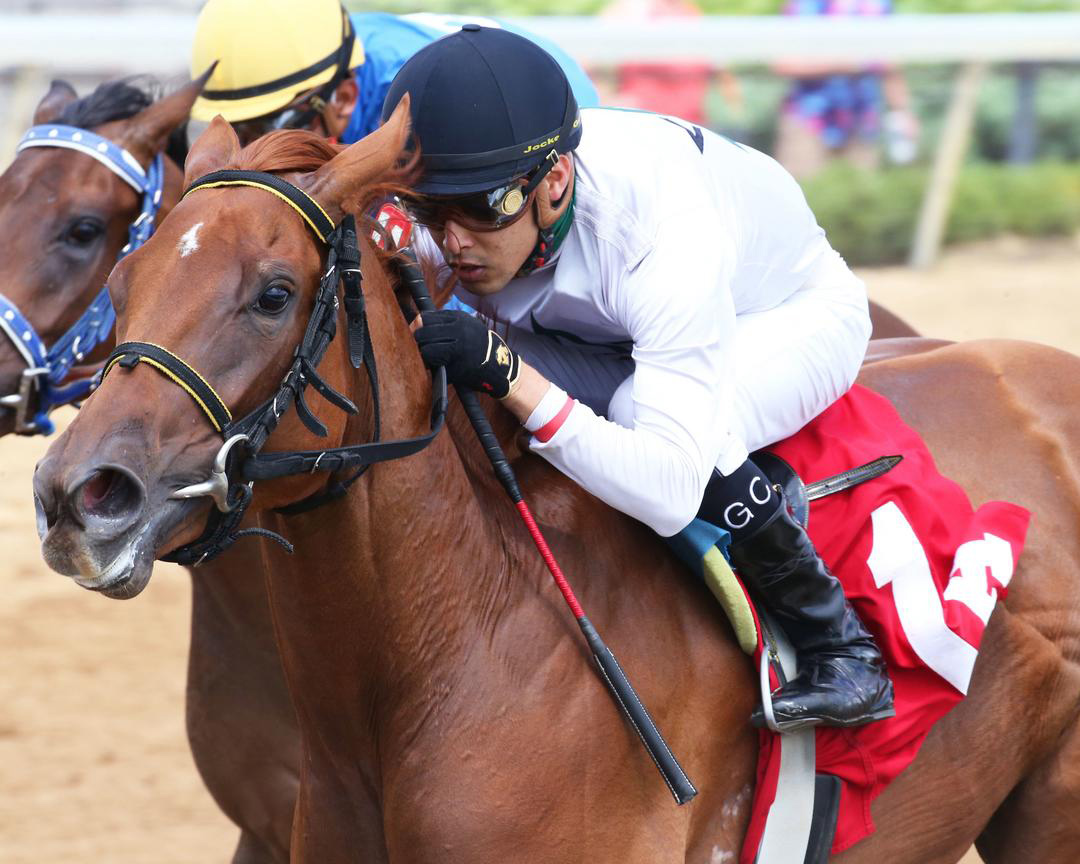 Alexandria wins the 2020 Tah Dah Stakes at Belterra Park
