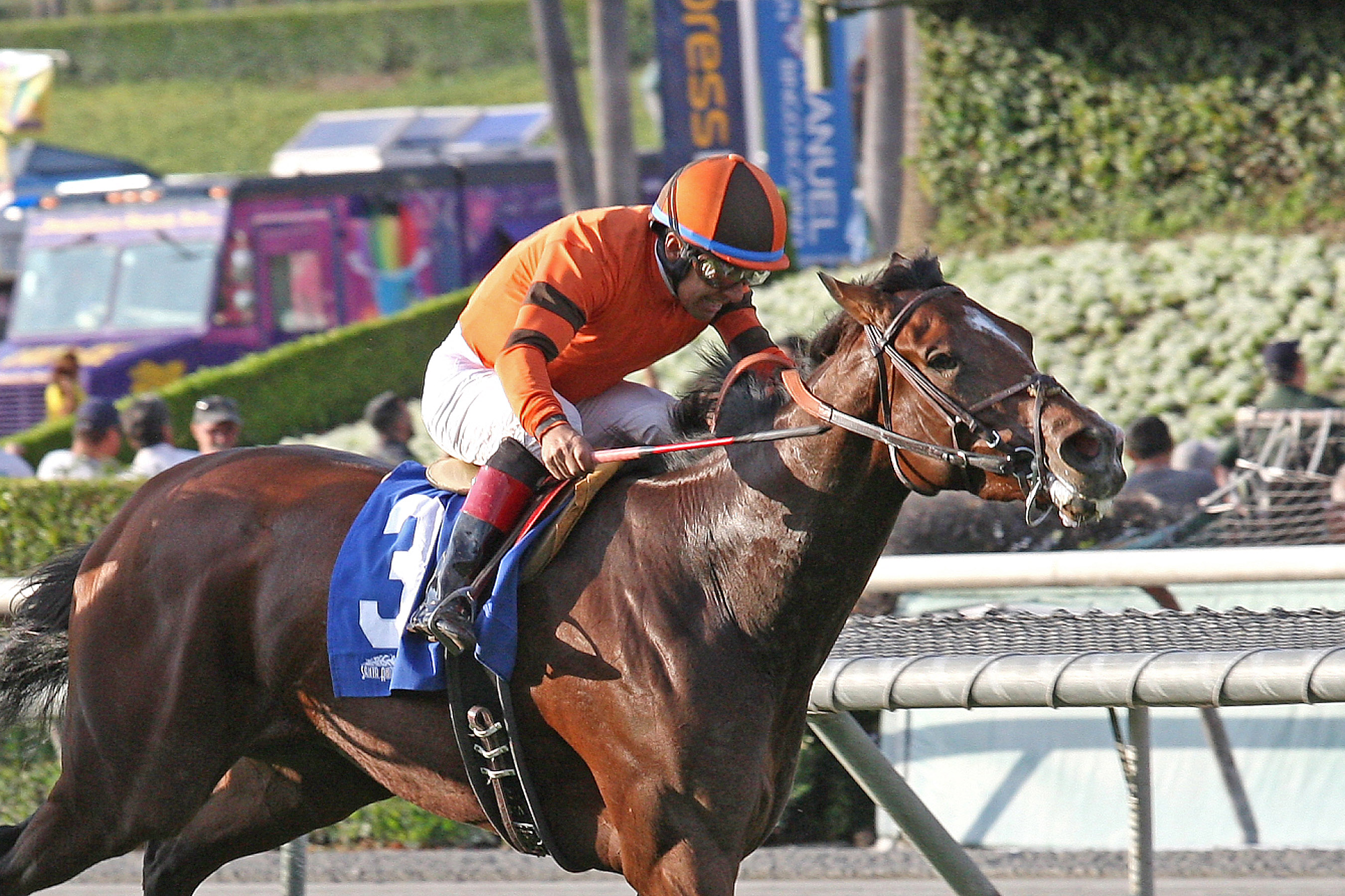 Alexis Tangier wins 2014 Unzip Me