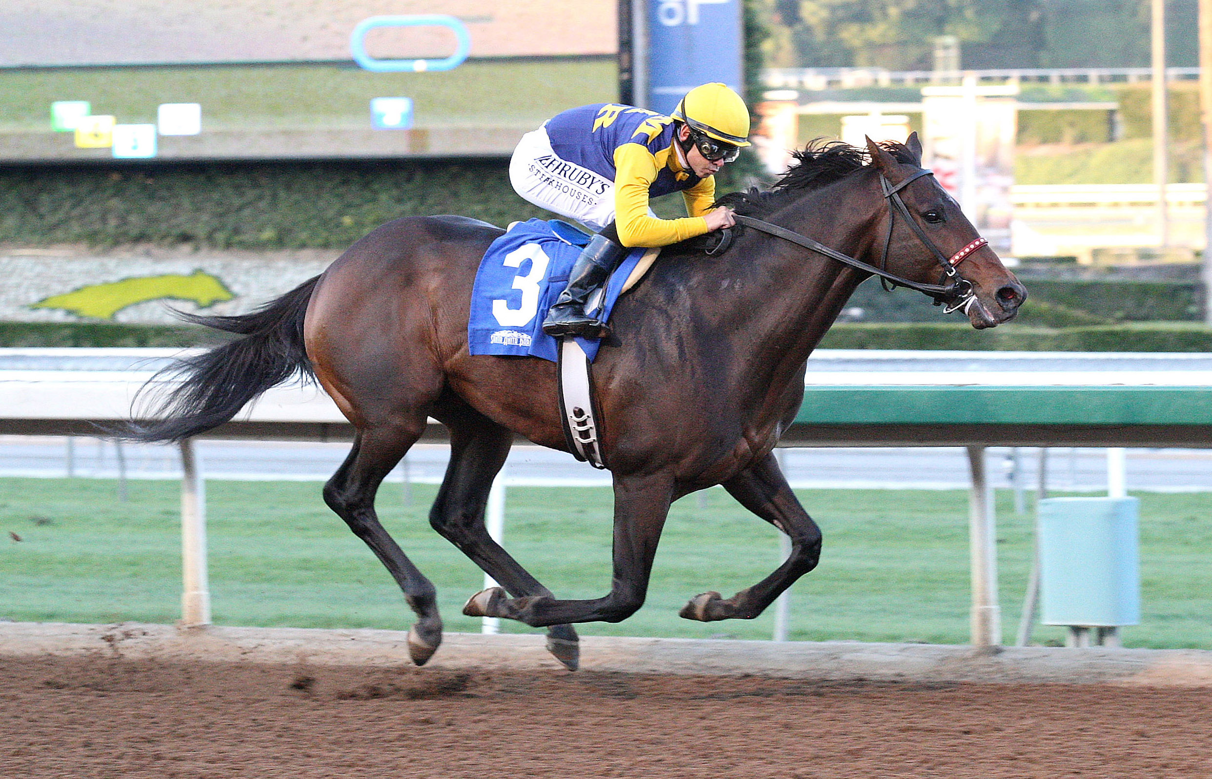 Alfa Bird wins an optional claiming race