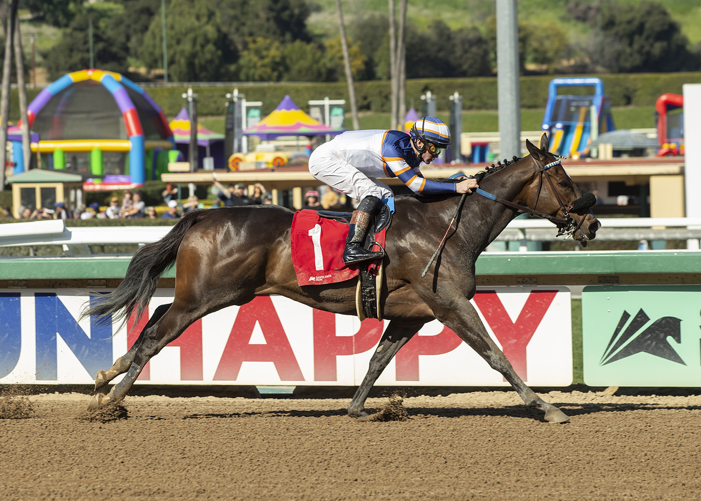 Alice Marble, Spring Fever Stakes