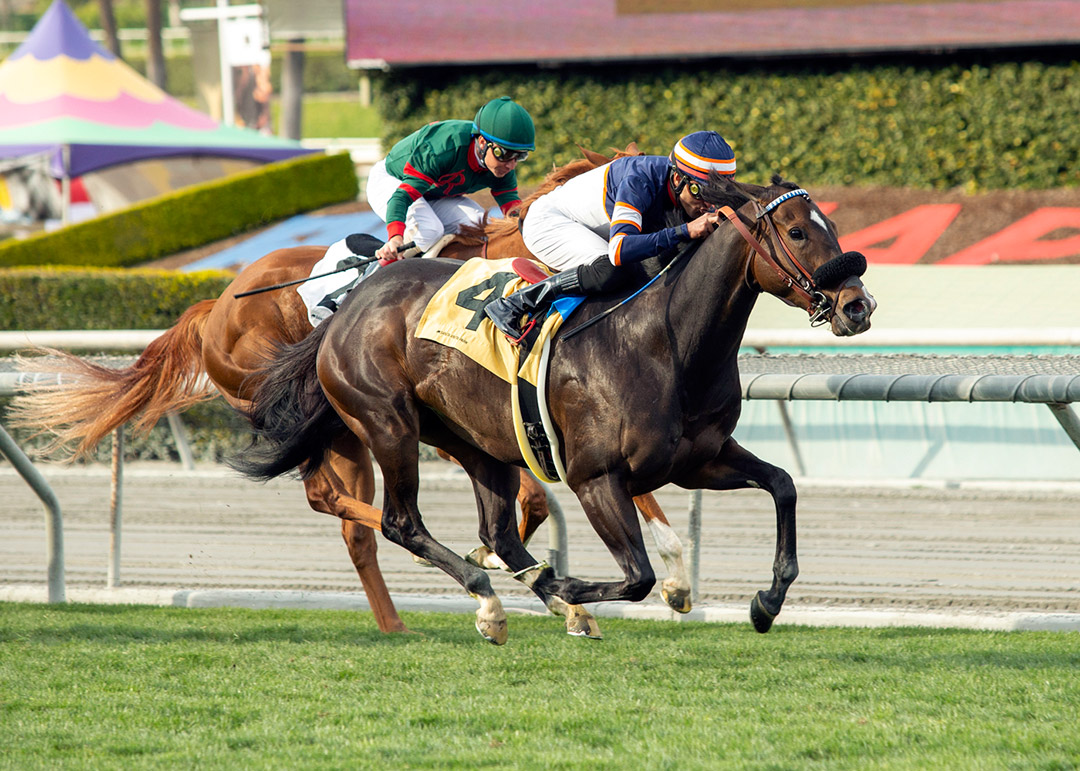 Alice Marble wins the 2022 Wishing Well Stakes at Santa Anita Park