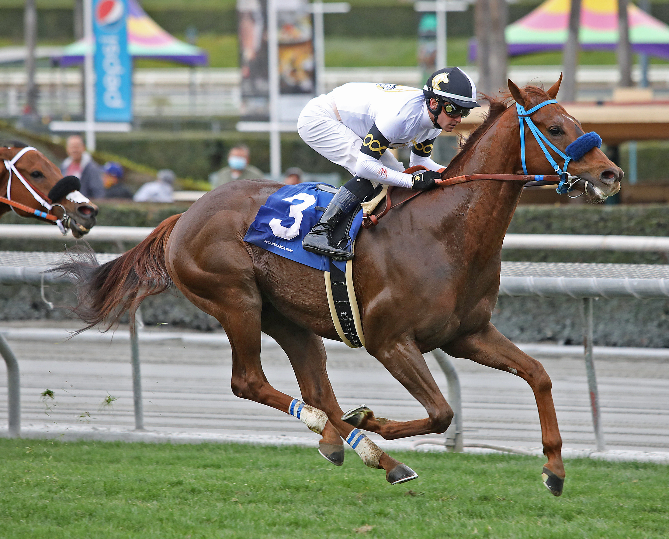 Aligato wins Turf Classic 1-15-2022