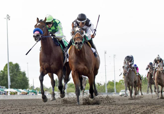 Alittlelesstalk wins the 2019 Kent Stakes