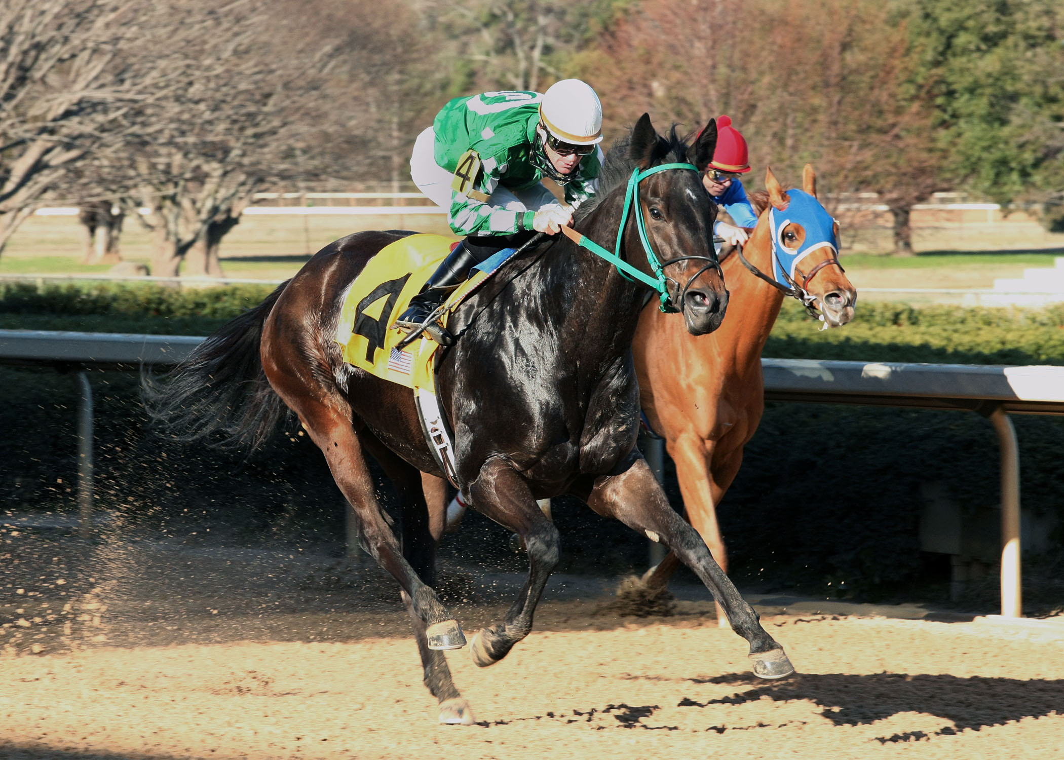 All About Allie, DownTheDustyRoad Breeders' Stakes