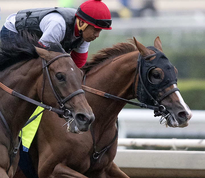 All Good trains at Santa Anita Park on June 15