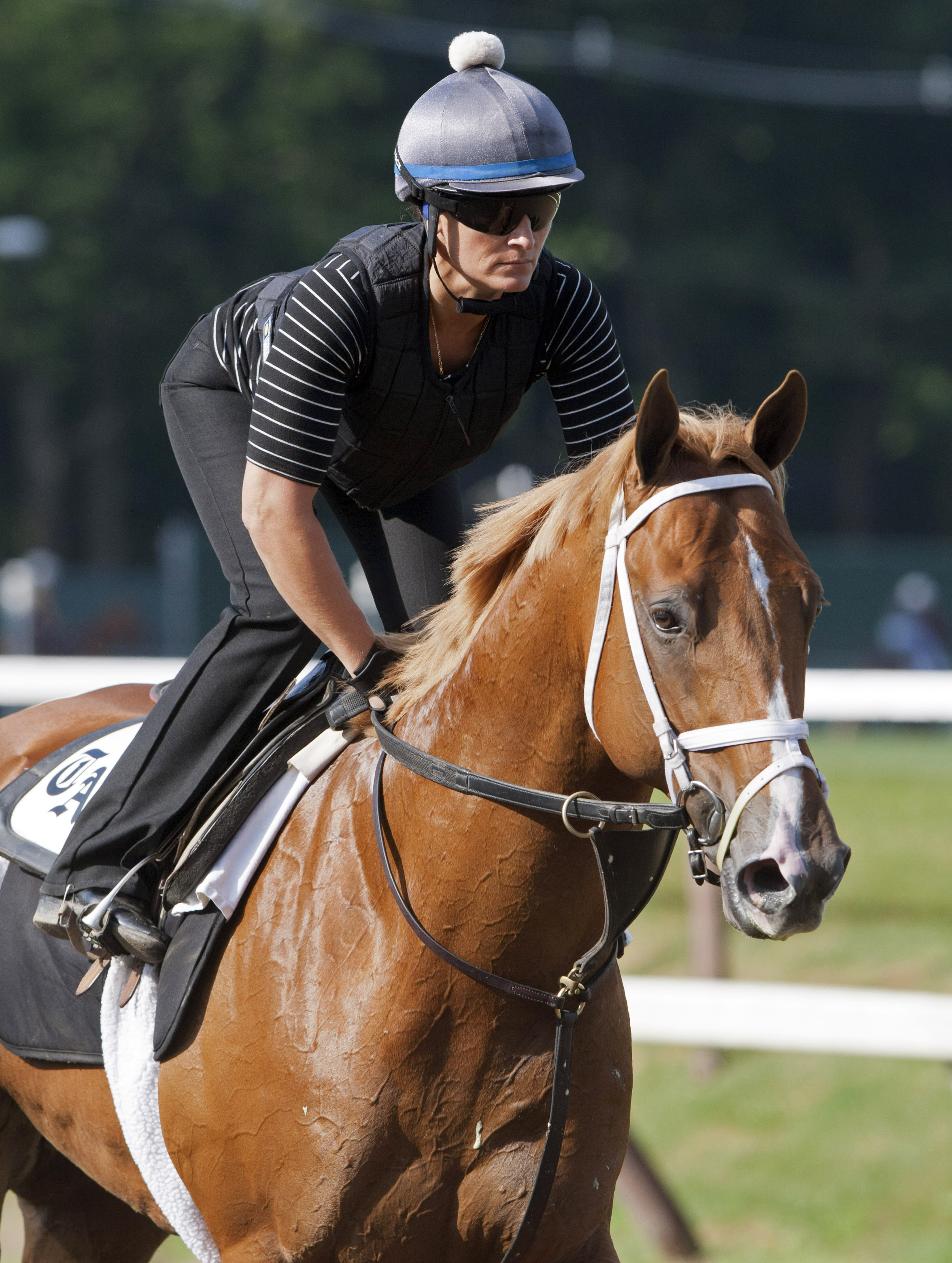 All Included at Saratoga in August 2015