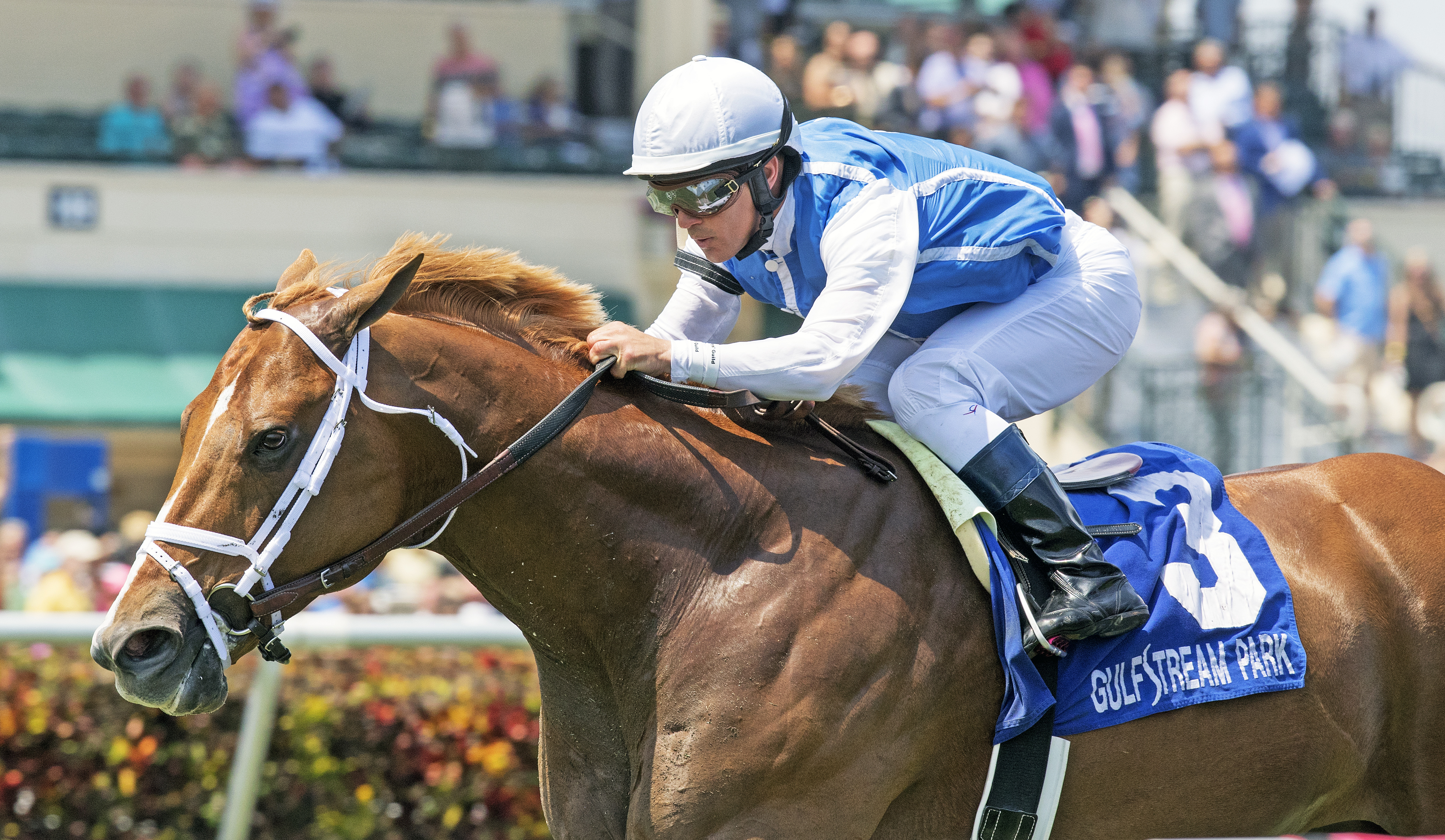 All Included wins the Appleton Stakes
