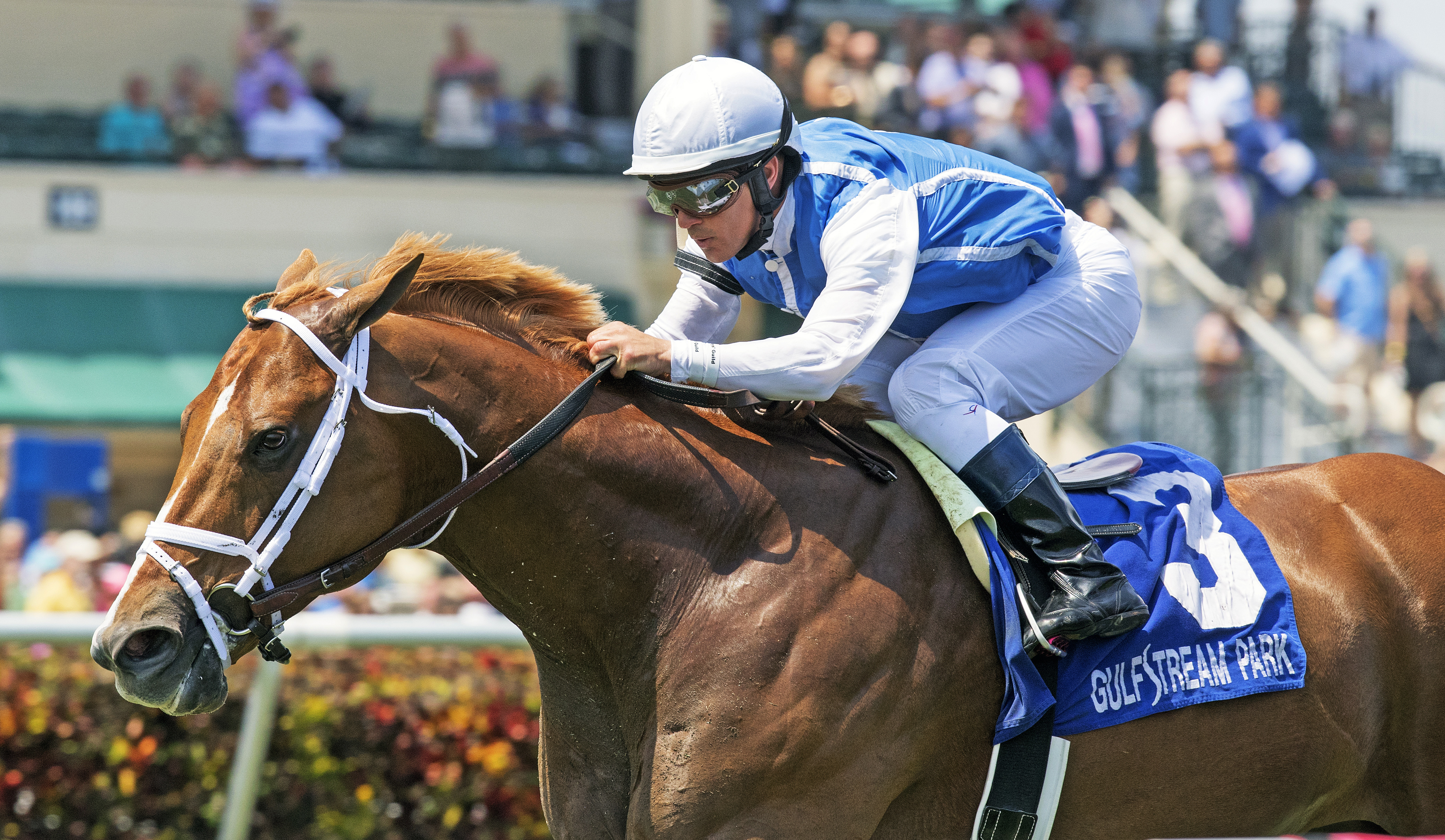 All Included wins the Appleton Stakes