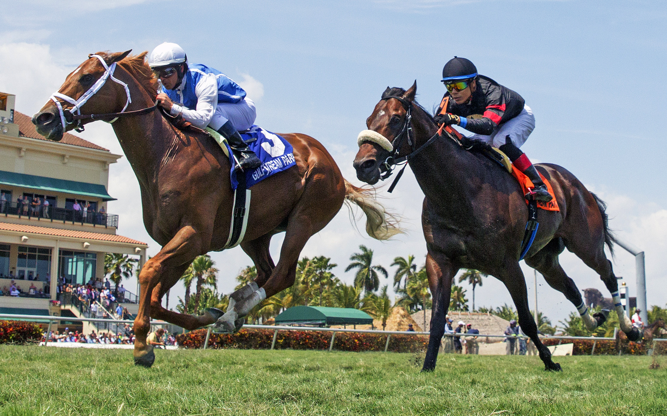 Delta Prince finishes second in the Appleton